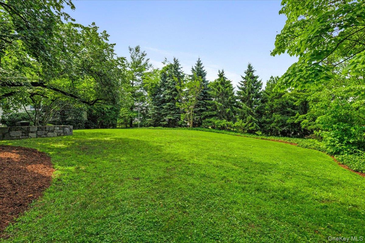 Photo 4 of this property