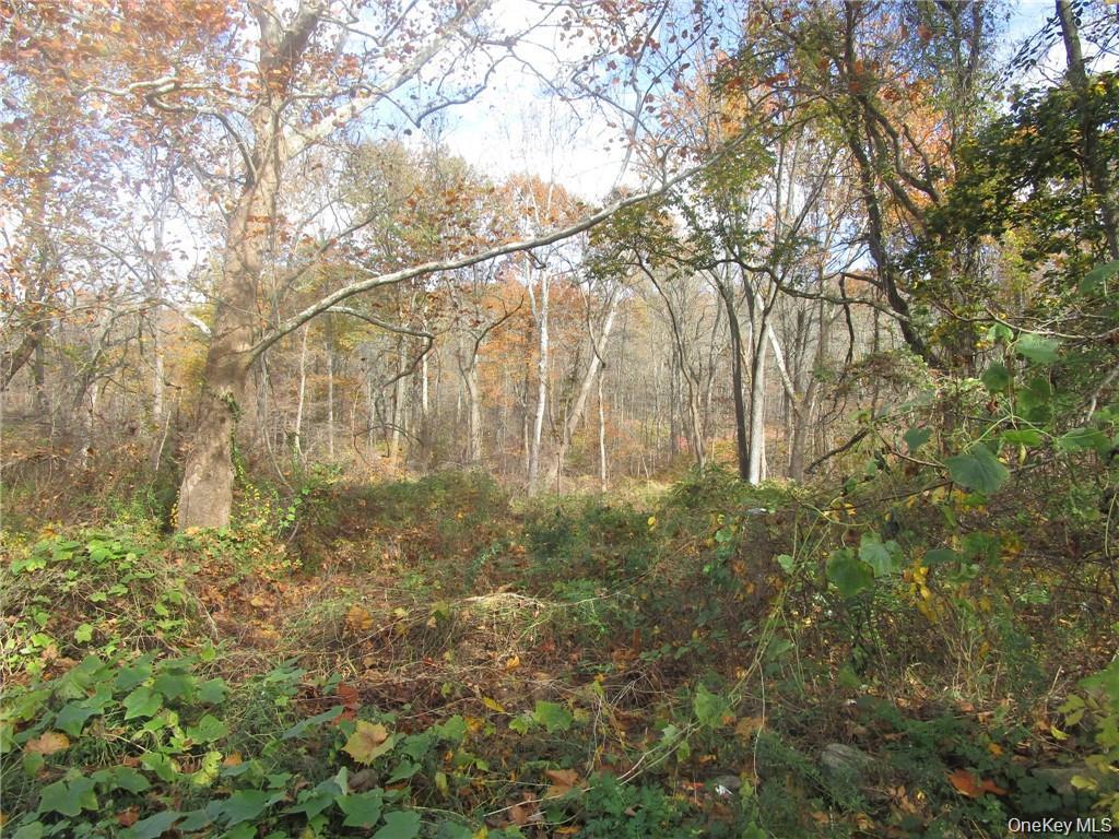 "Building ready lot in Yorktown NY" -vacant land fully approved-shovel...