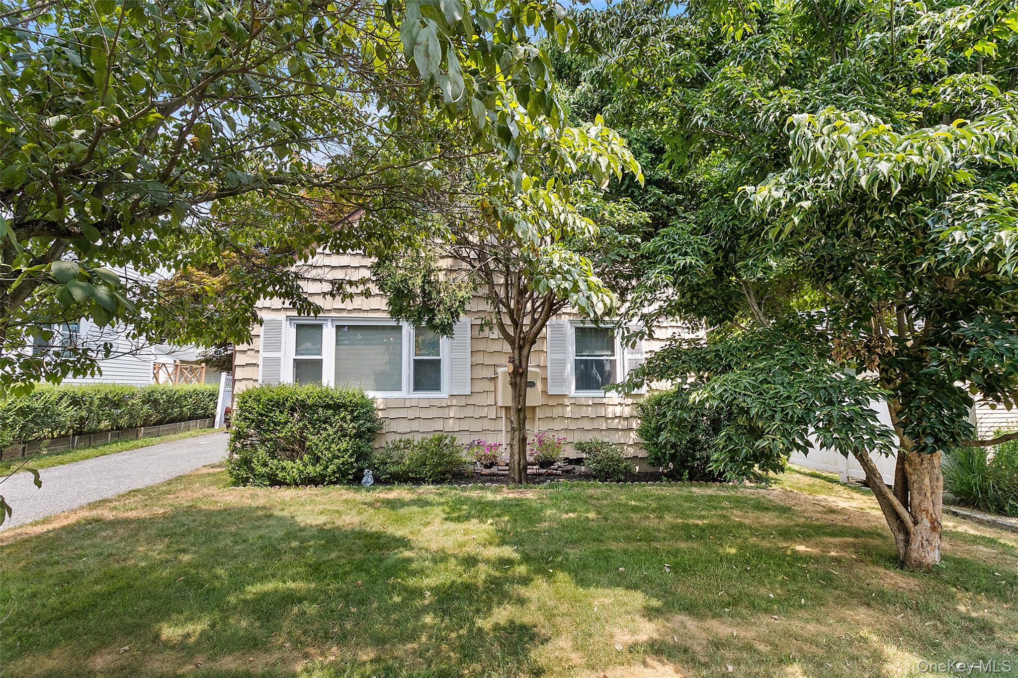 Photo 3 of this property