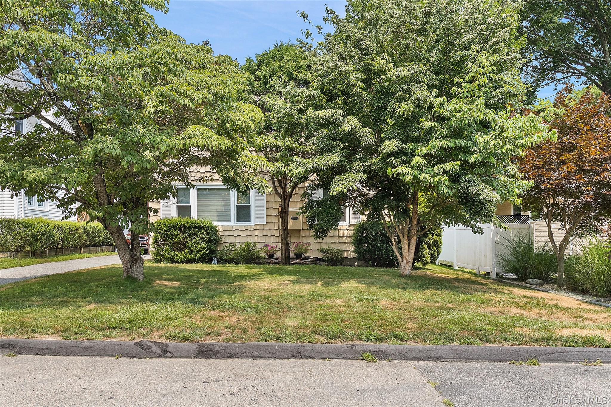 Photo 4 of this property