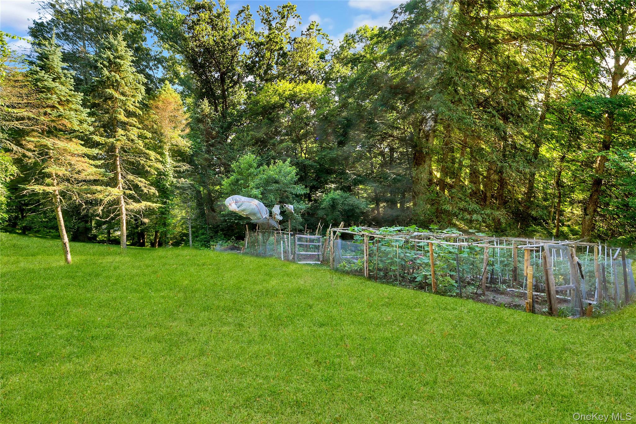 Photo 32 of this property