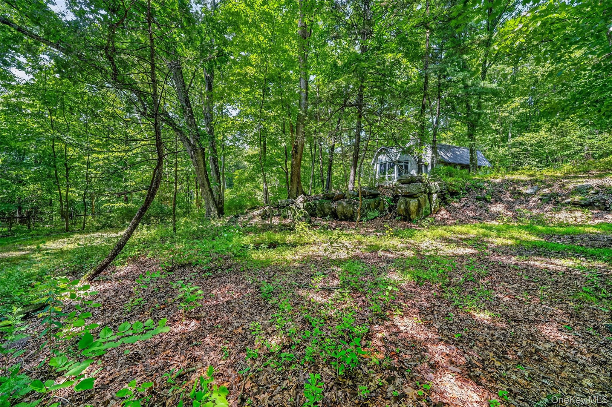 Photo 39 of this property