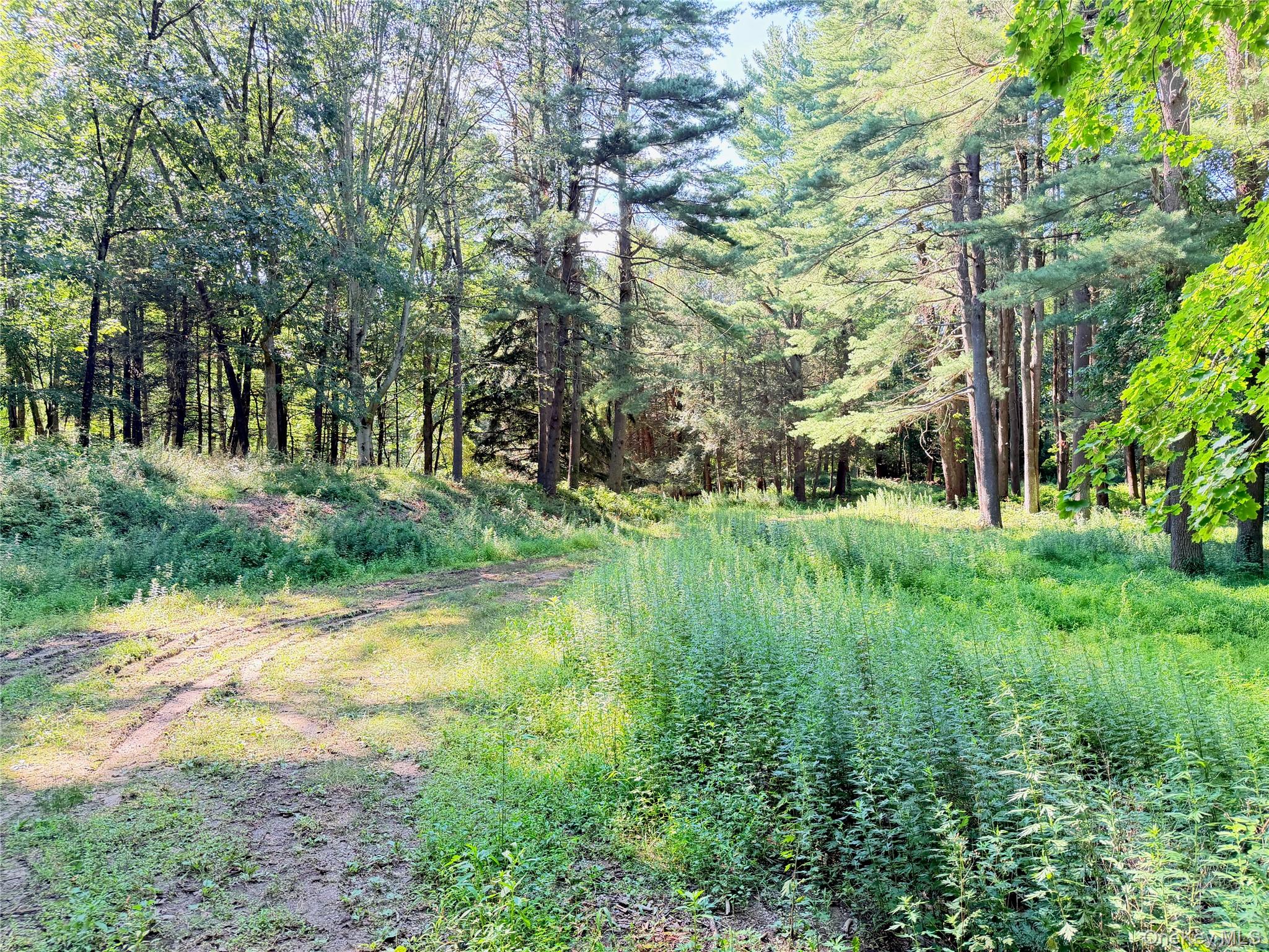 Photo 6 of this property