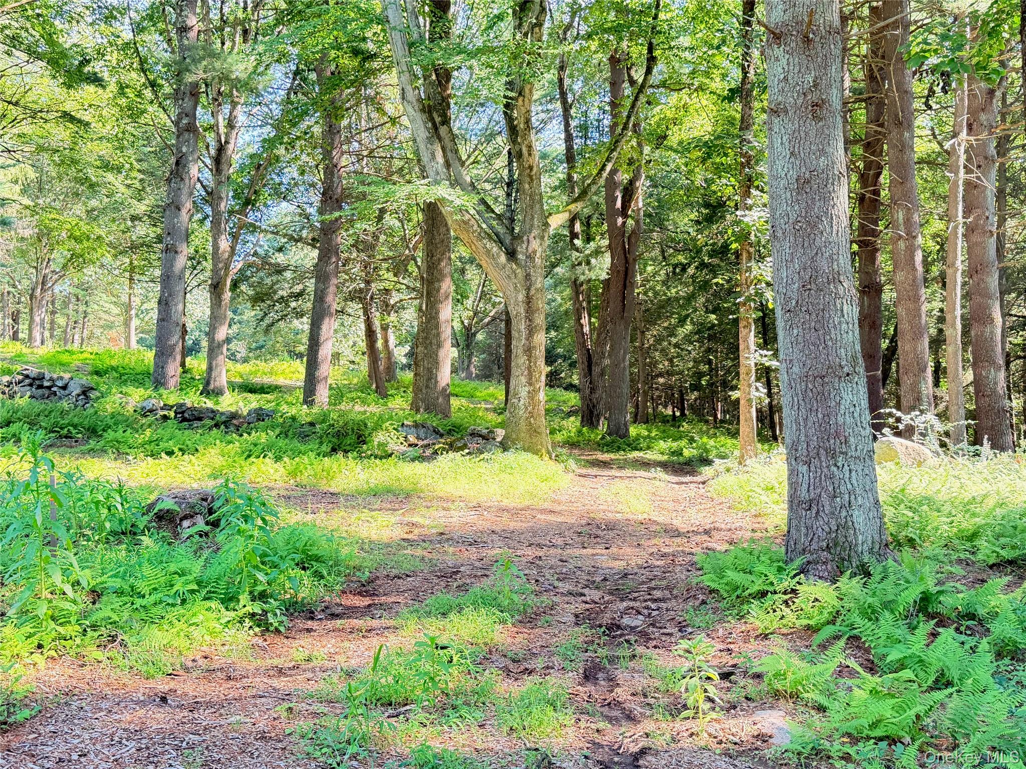 Photo 4 of this property
