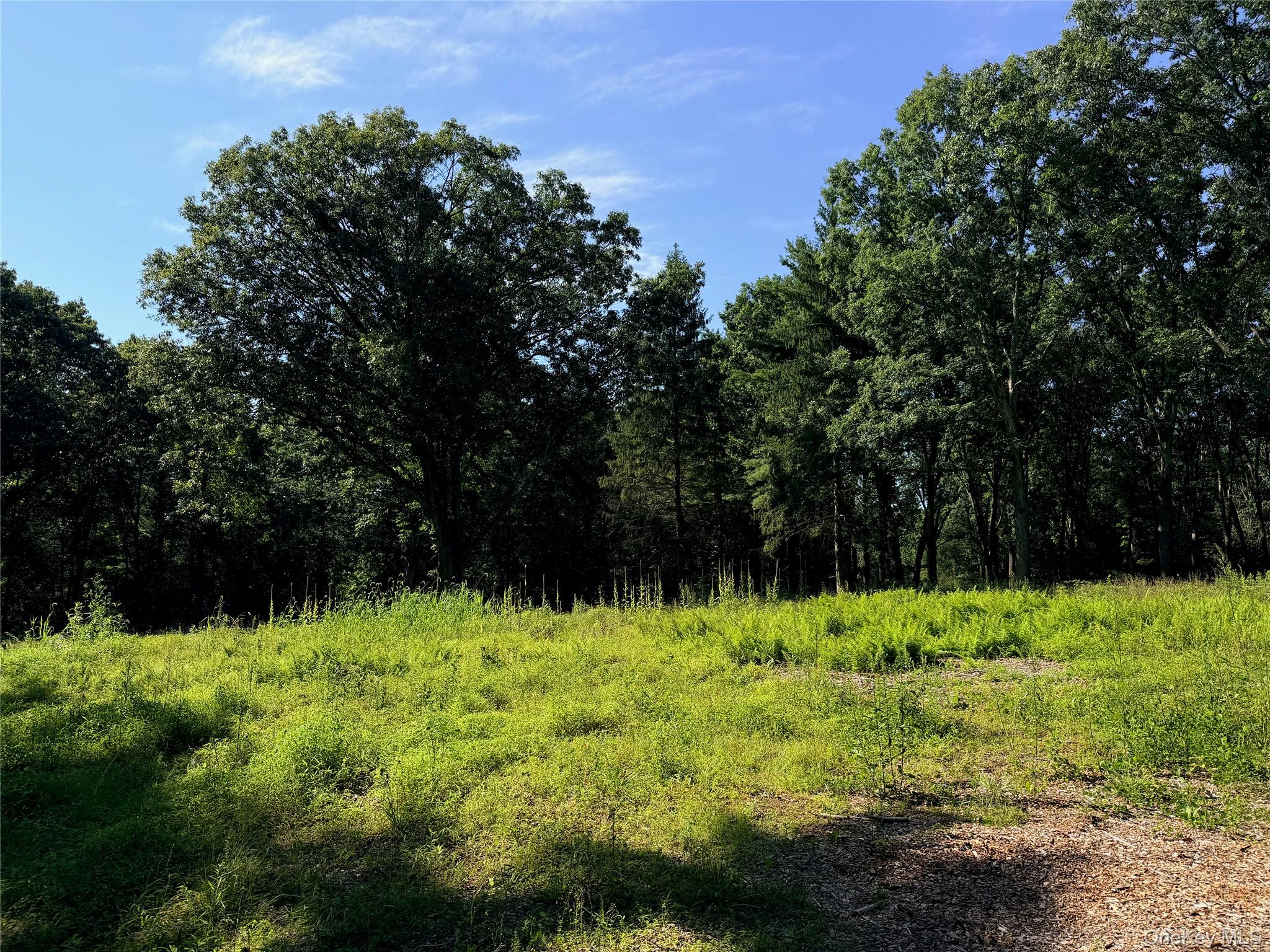 Photo 9 of this property