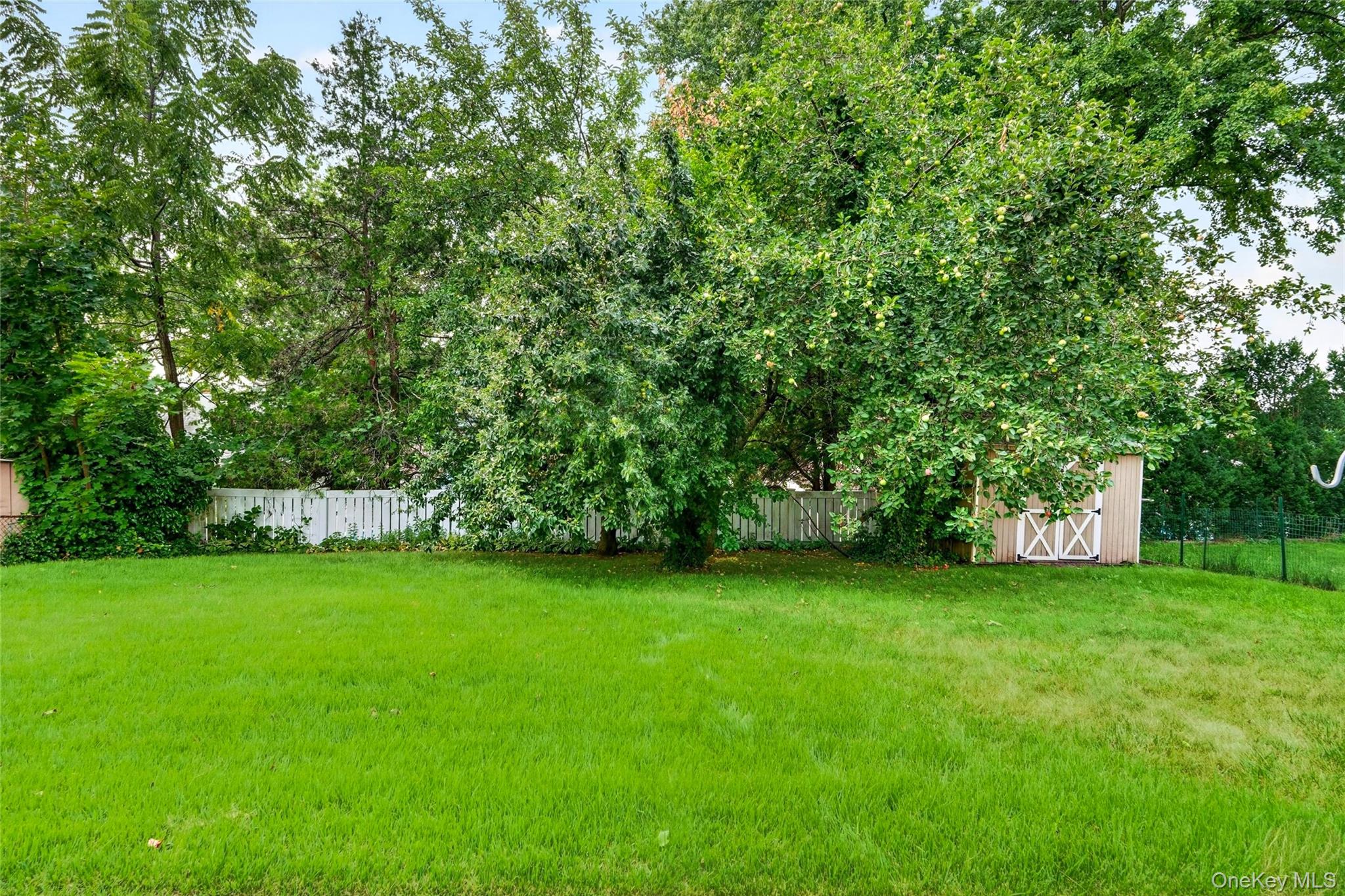 Photo 30 of this property