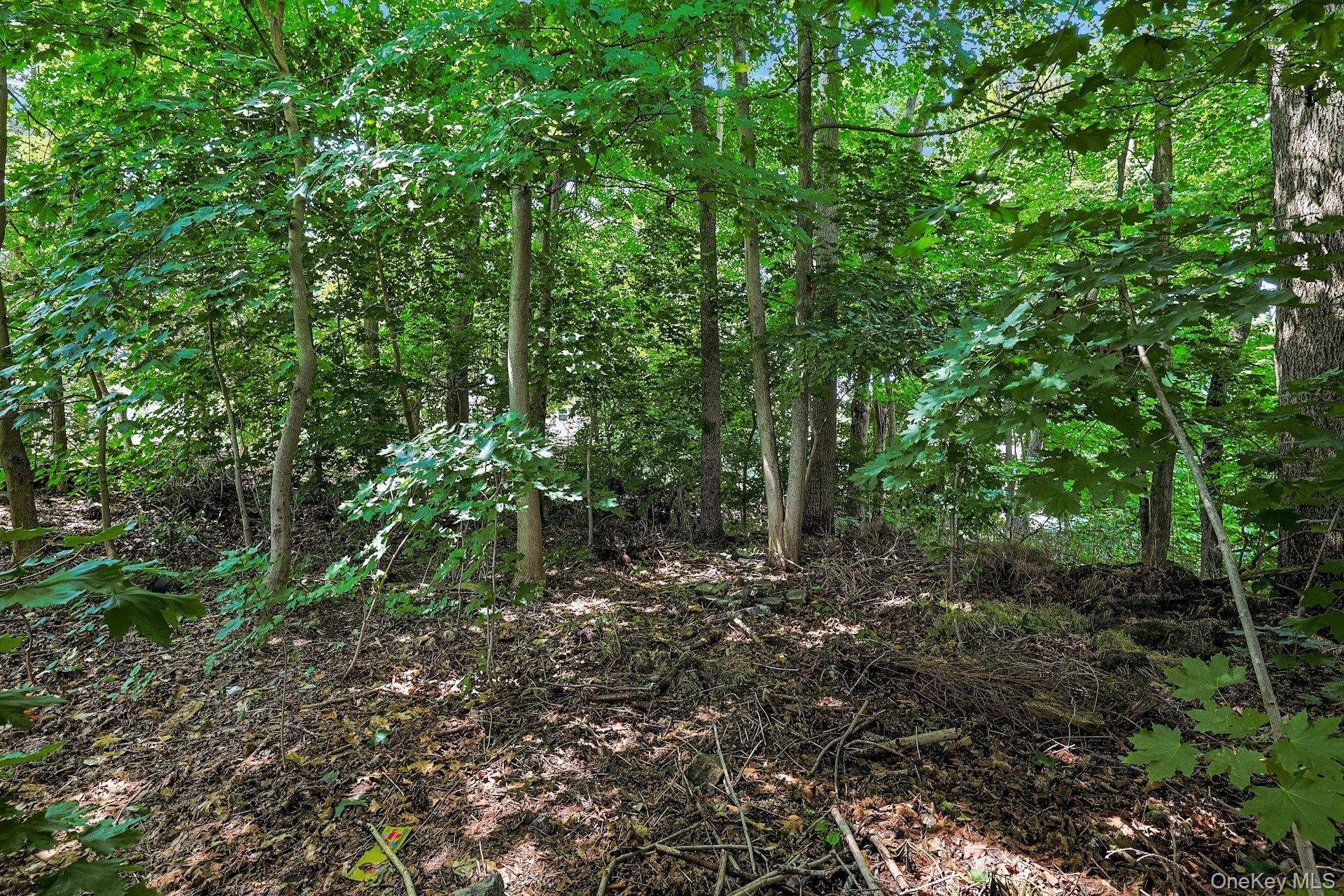 Photo 7 of this property