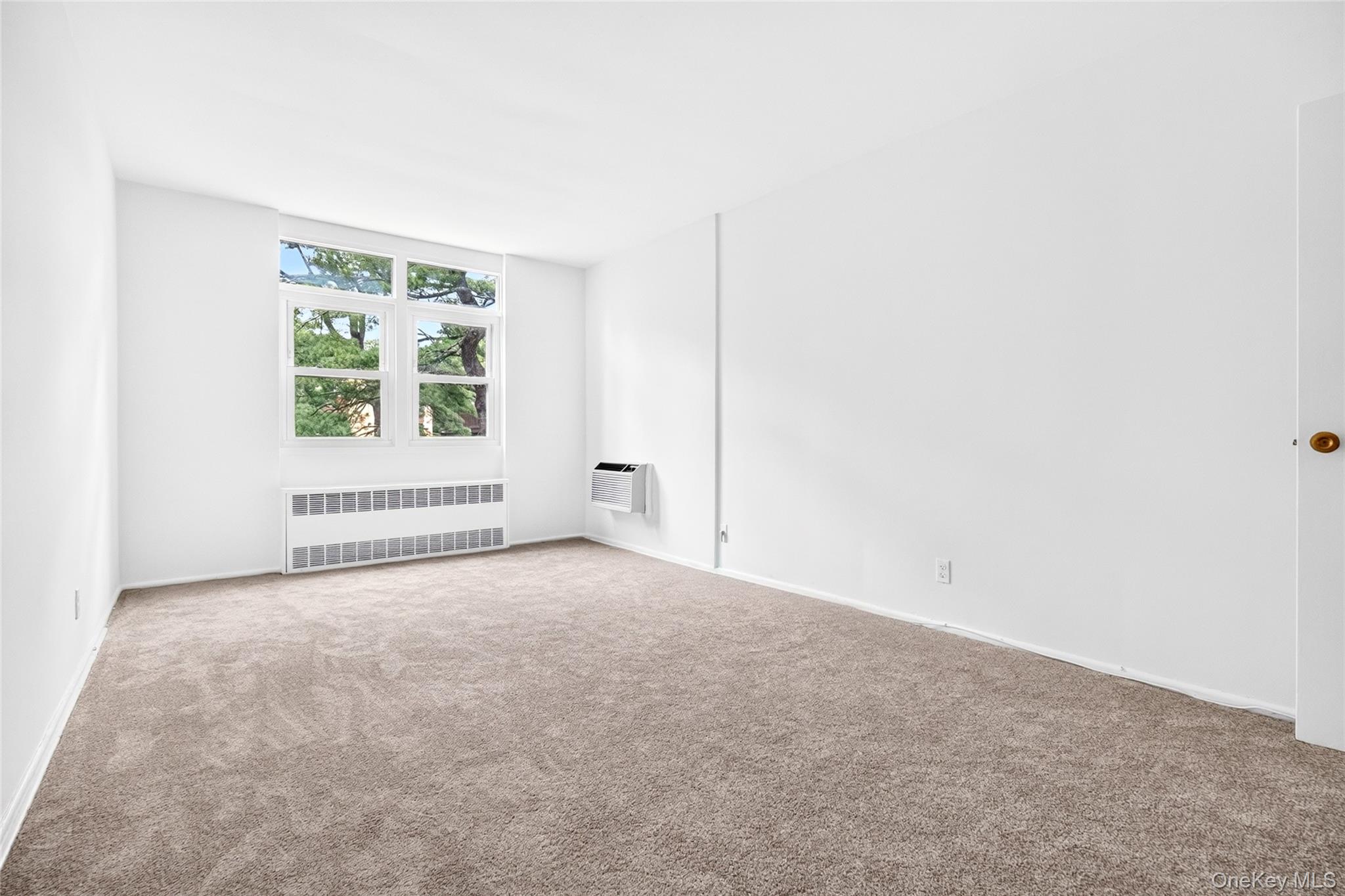 Photo 38 of this property