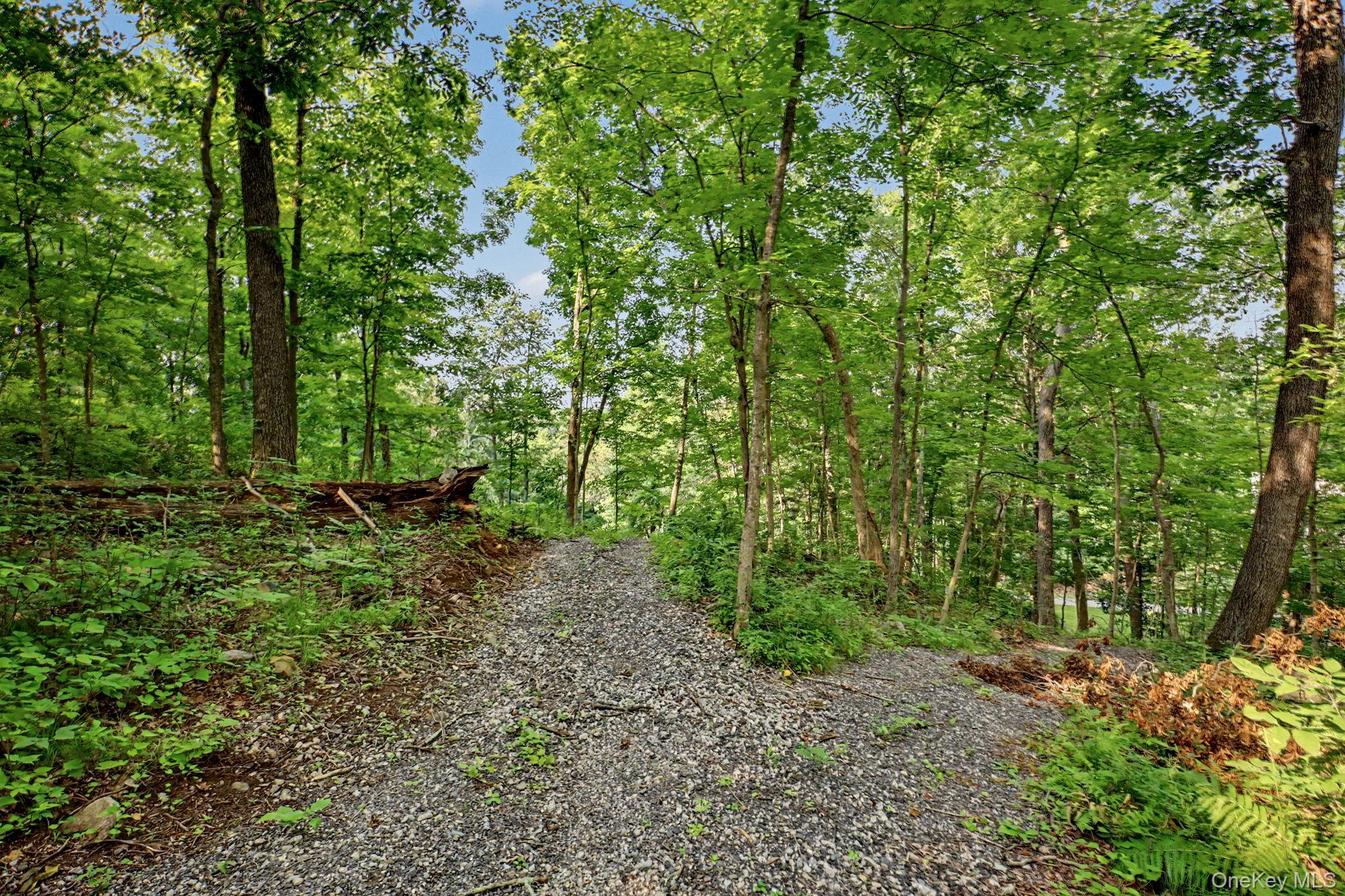 Photo 49 of this property