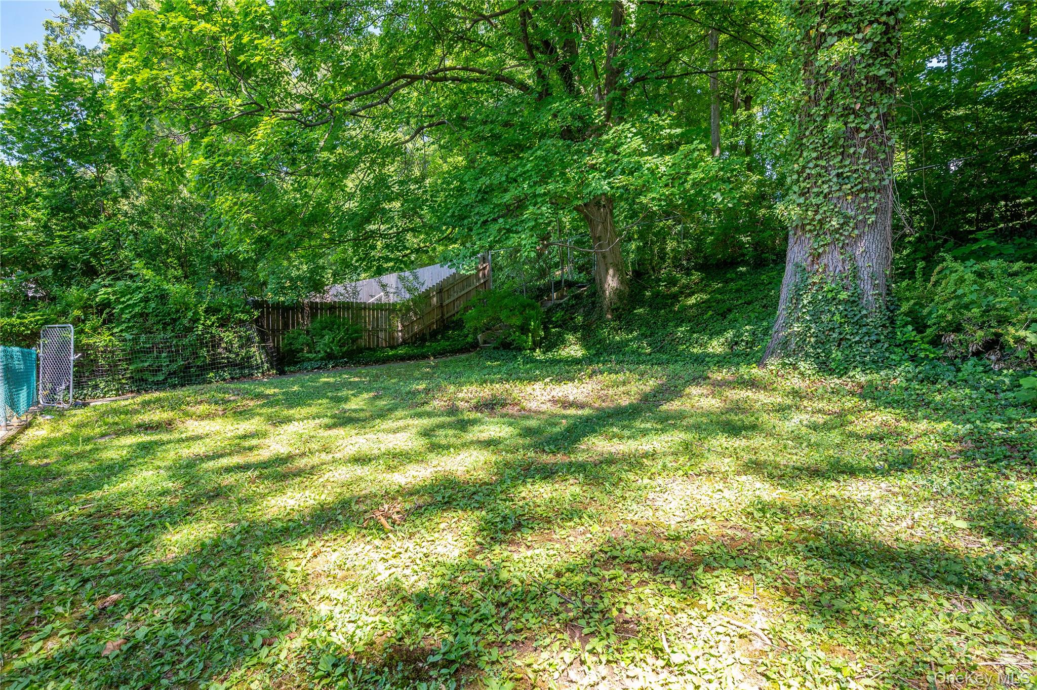 Photo 25 of this property