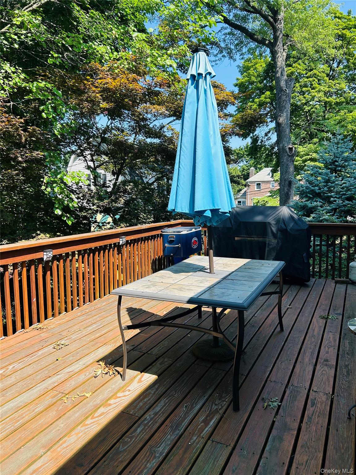 Photo 42 of this property