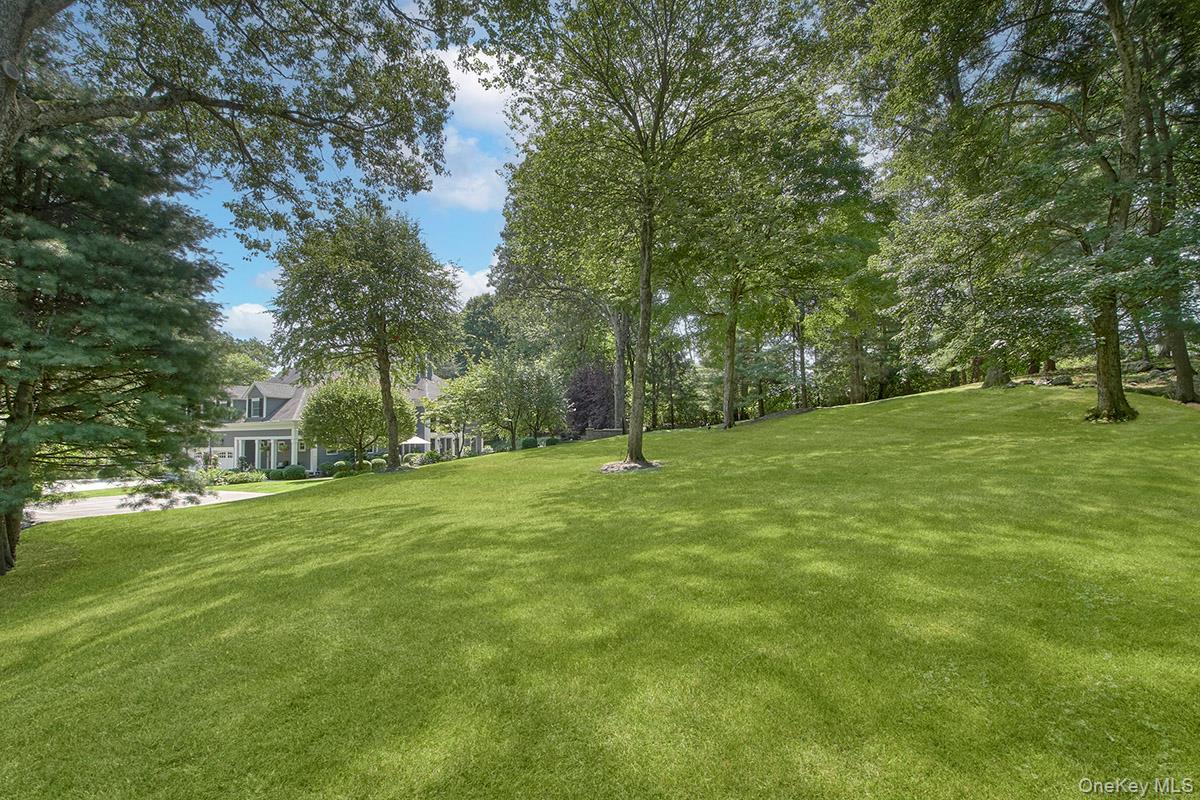 Photo 46 of this property