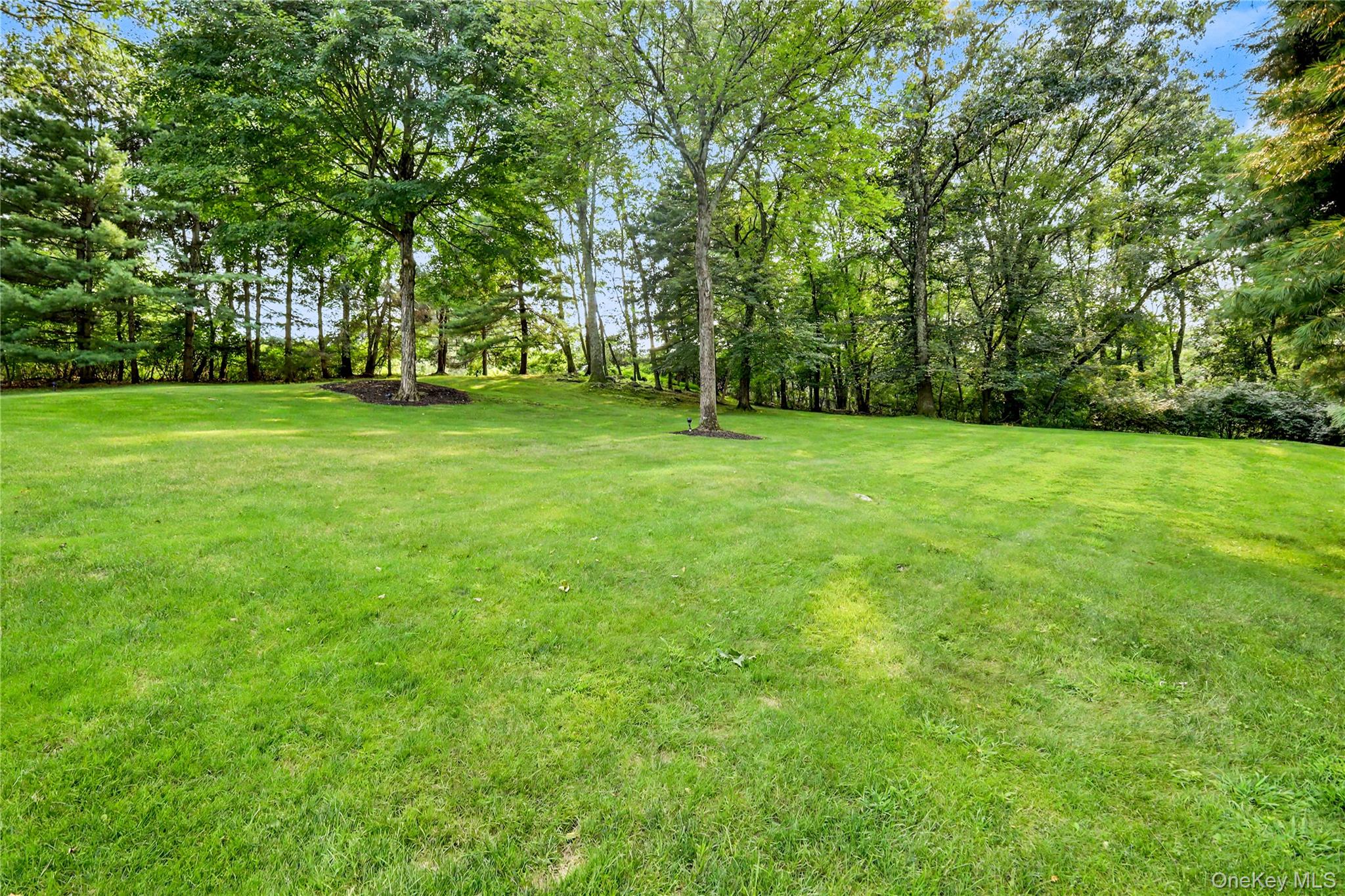 Photo 40 of this property