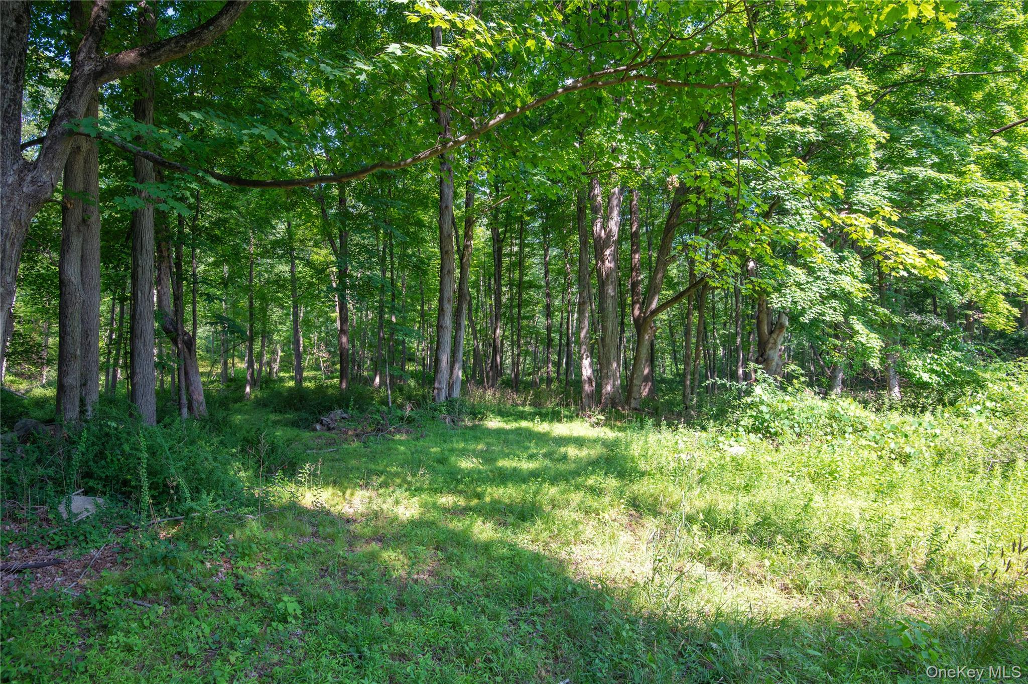 Photo 37 of this property