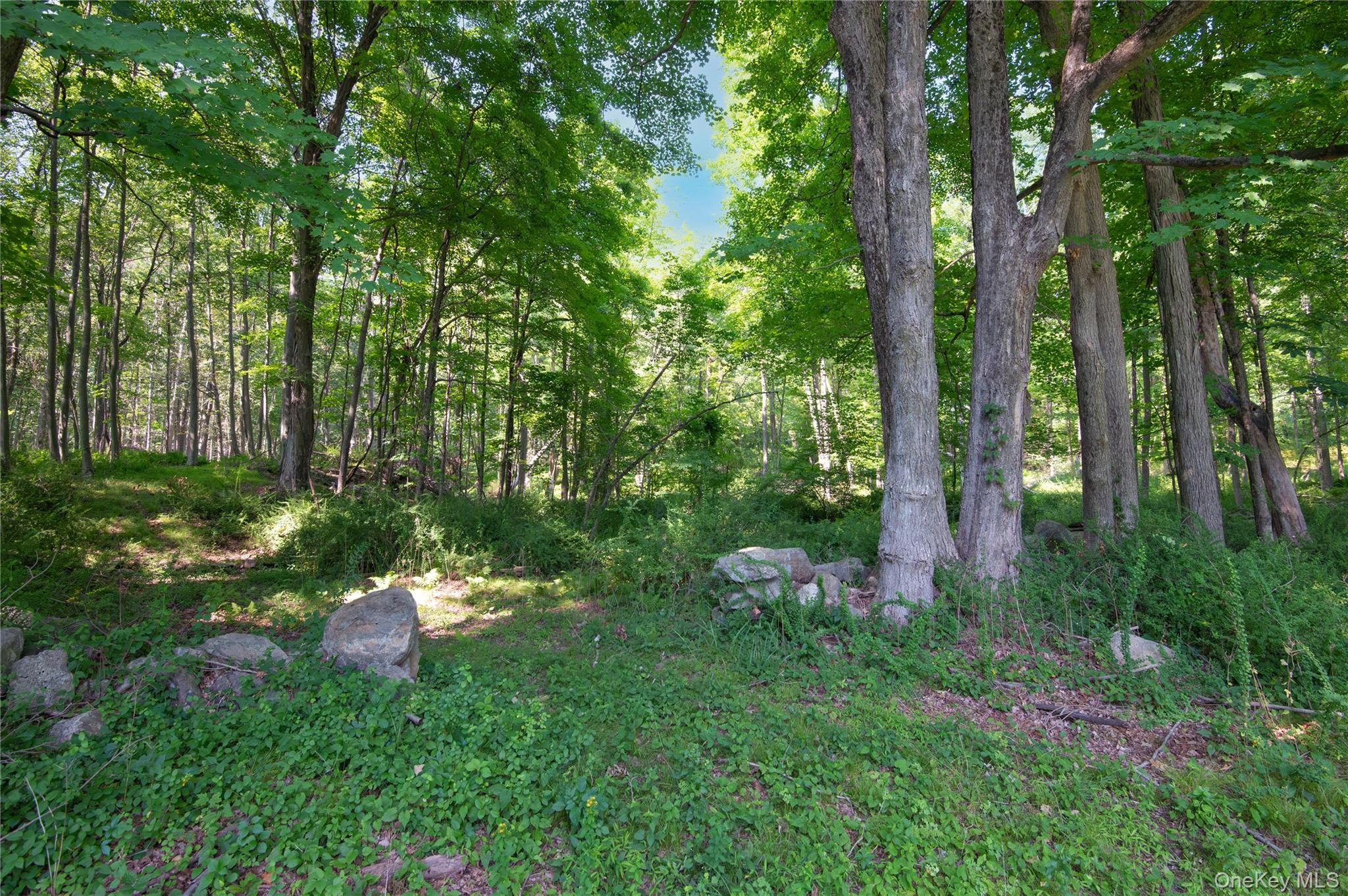 Photo 38 of this property