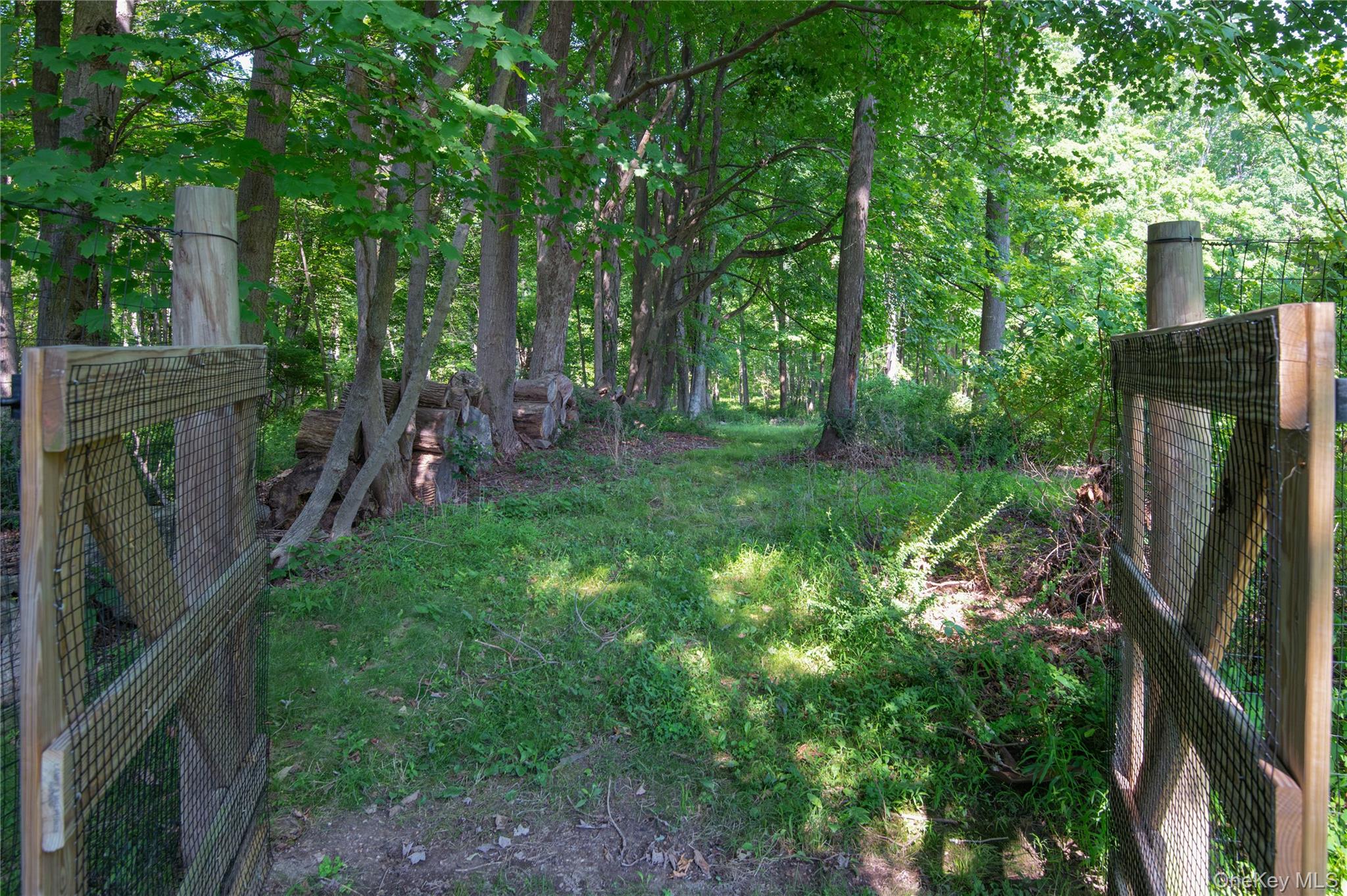 Photo 36 of this property