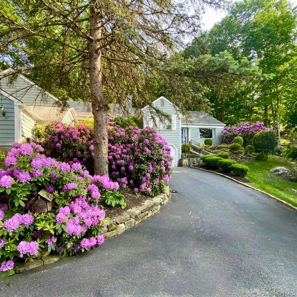 Photo 18 of this property
