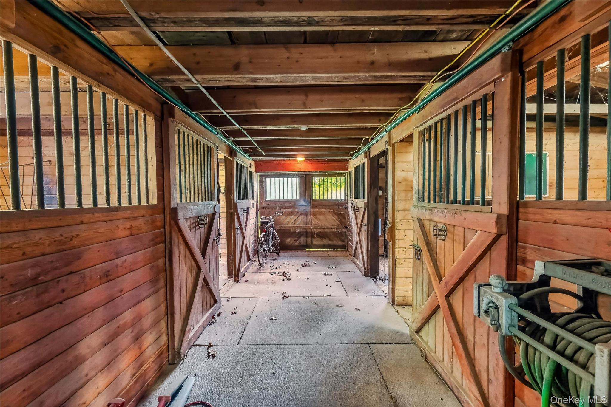Photo 39 of this property