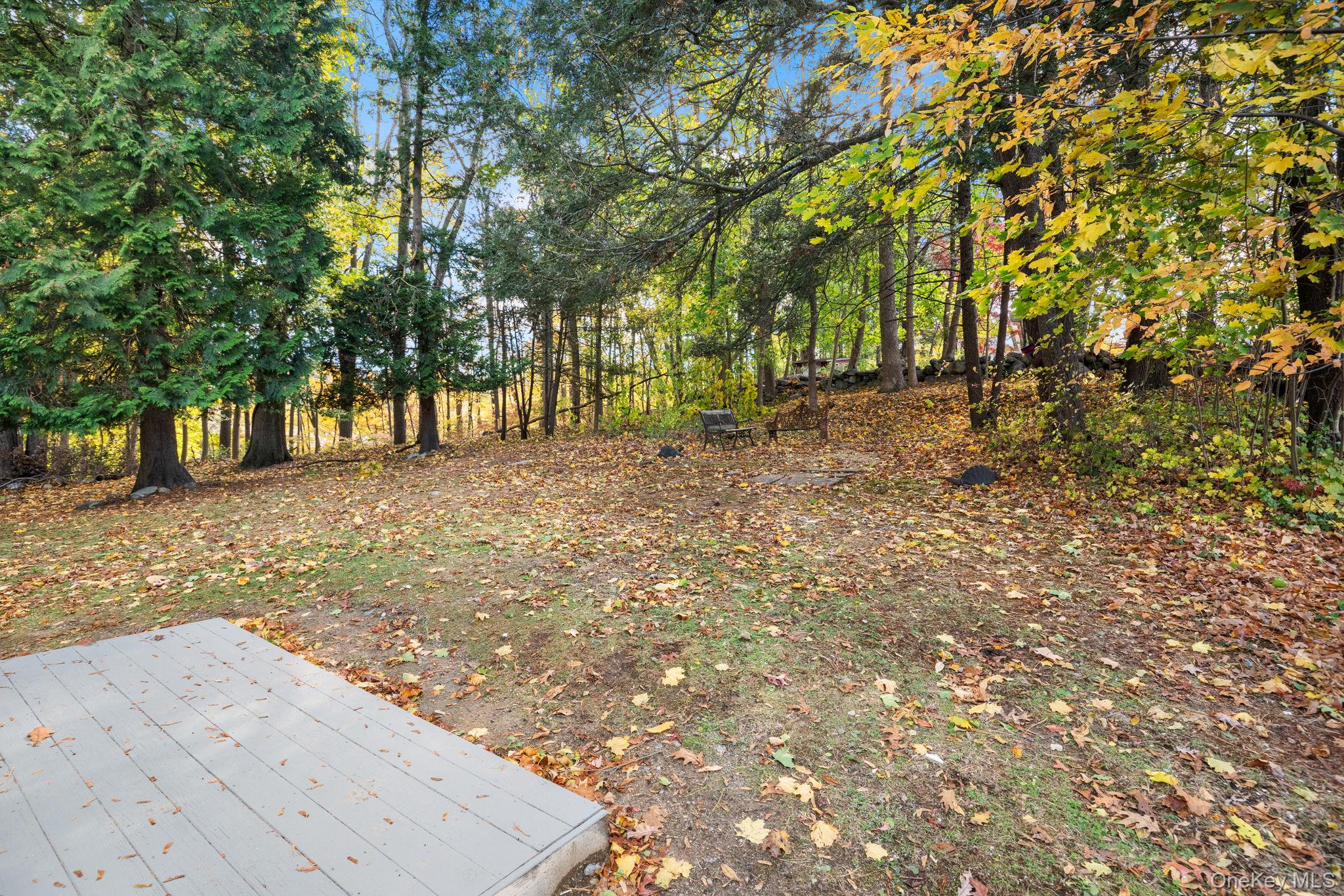Photo 36 of this property