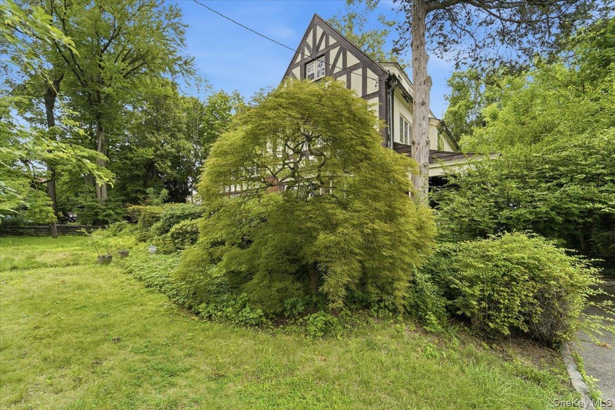 Photo 4 of this property