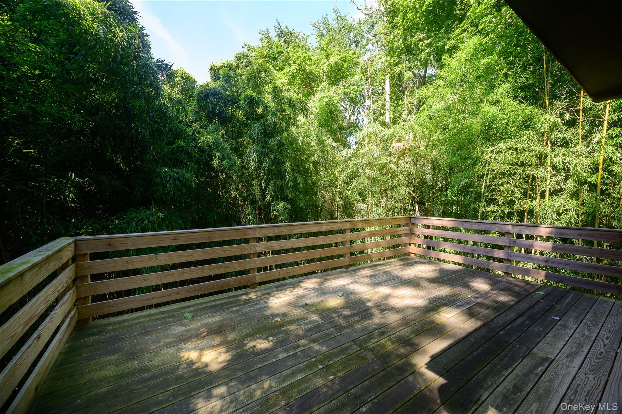 Photo 41 of this property
