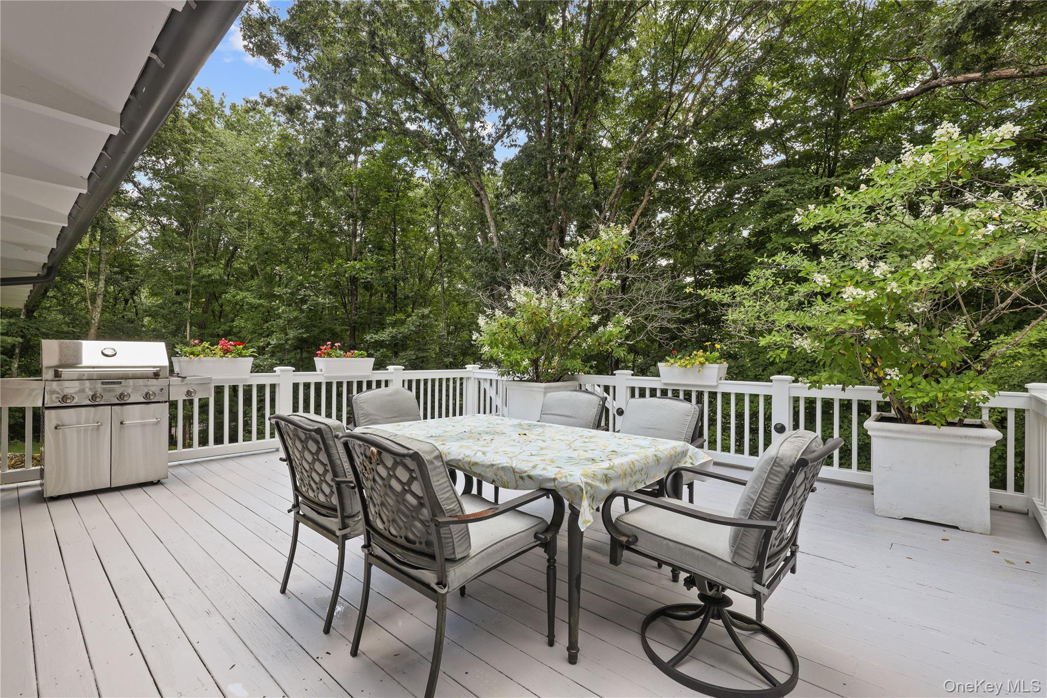 Photo 5 of this property