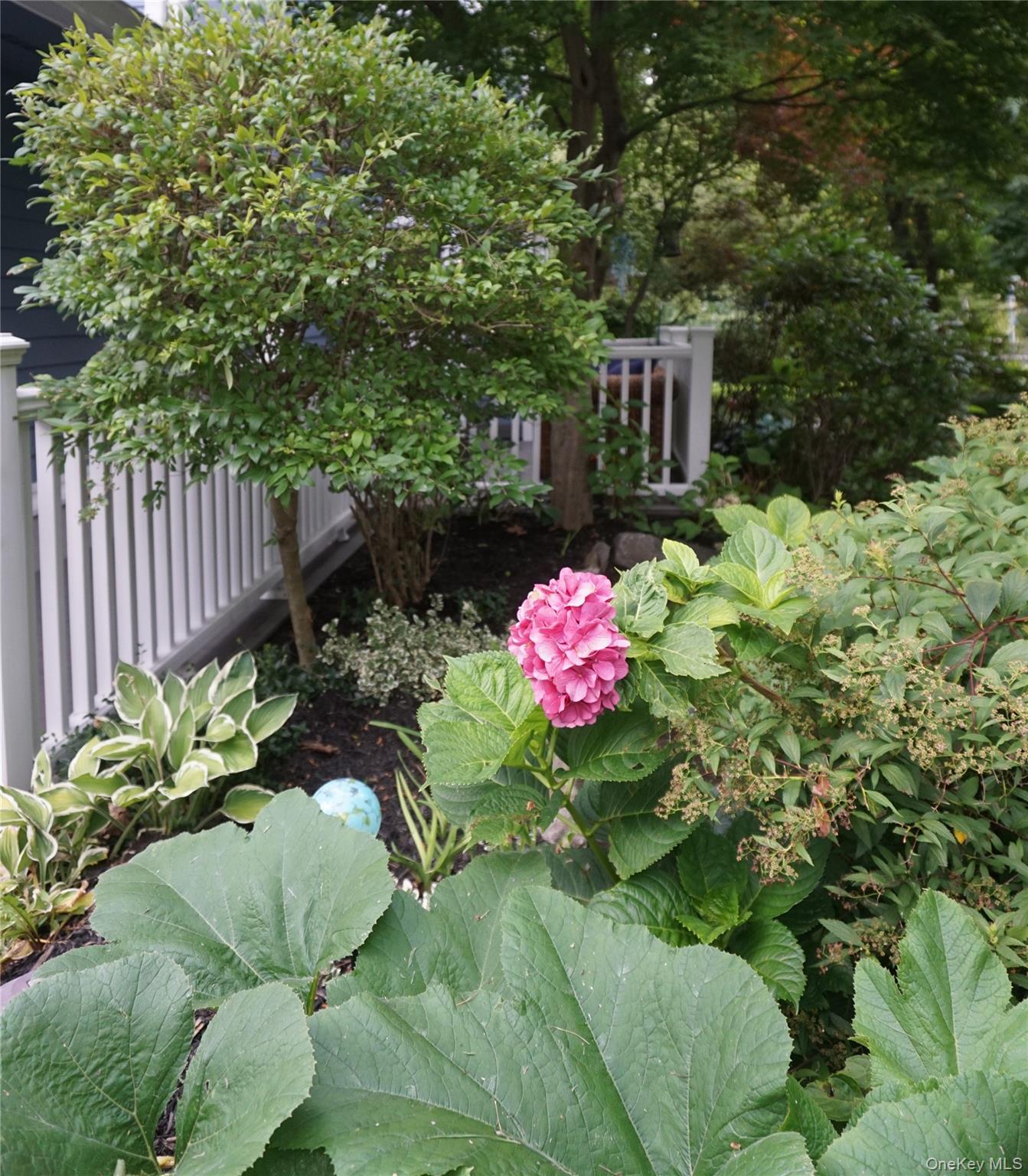 Photo 3 of this property