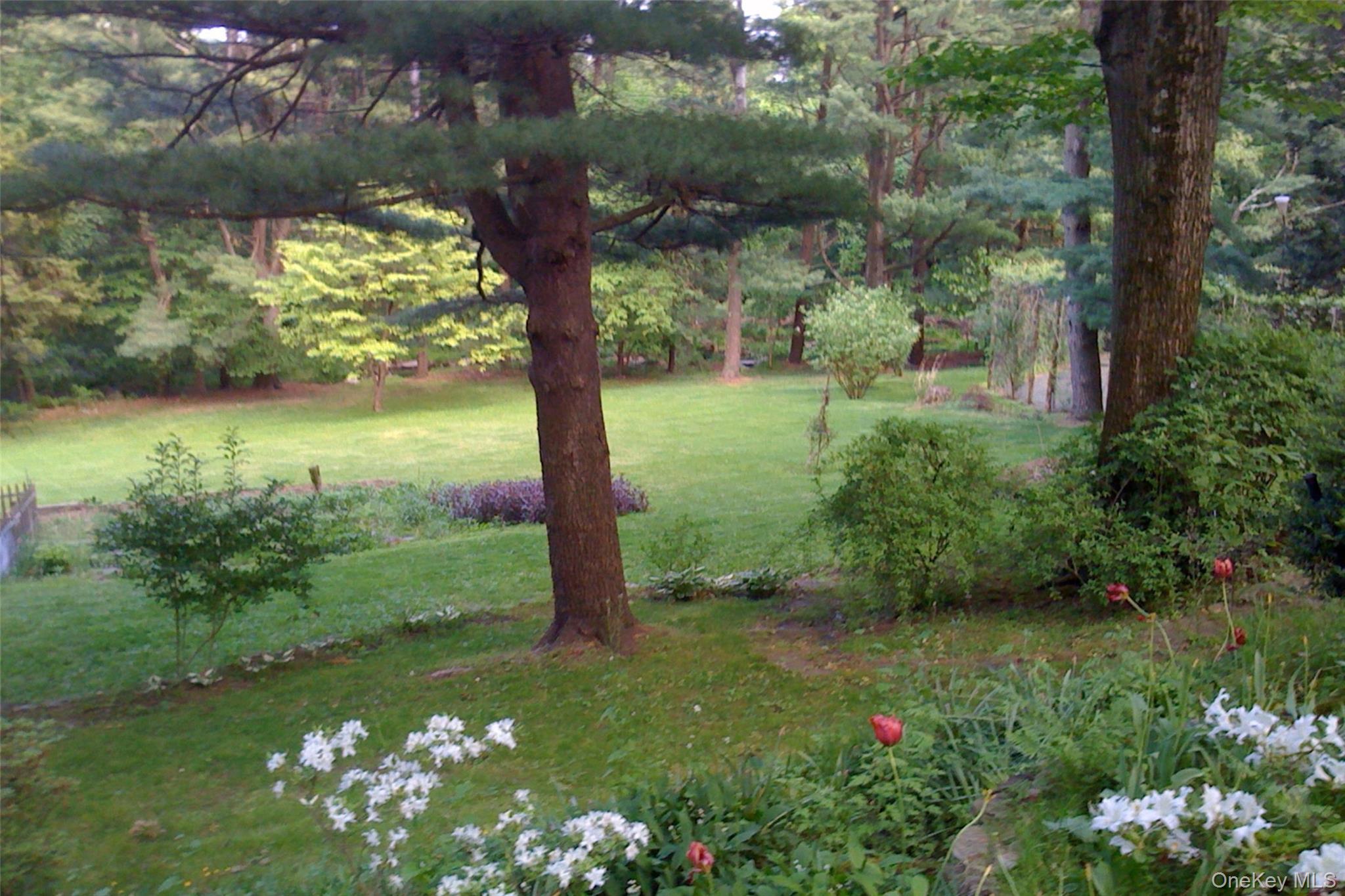 Photo 16 of this property