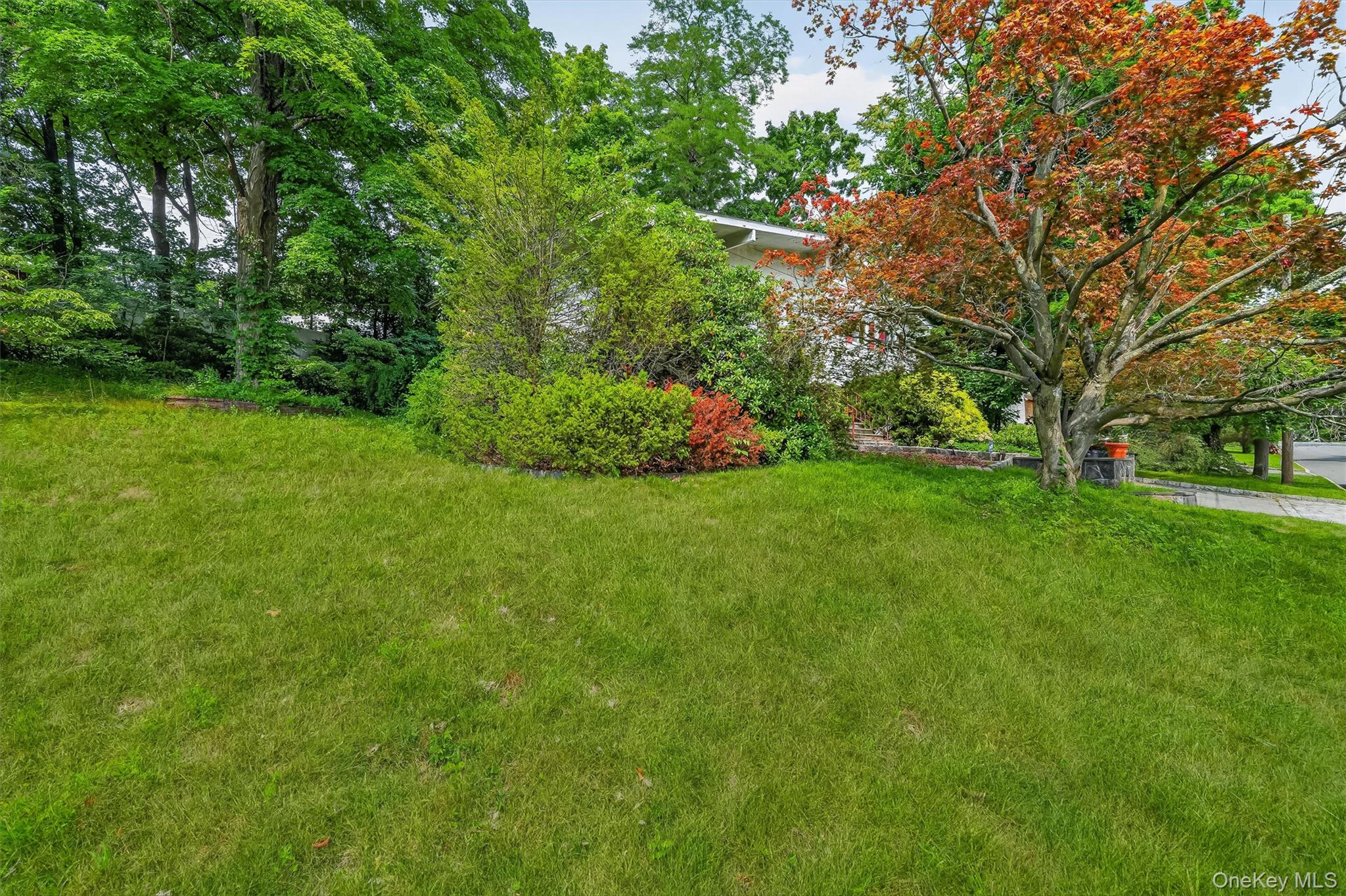 Photo 41 of this property