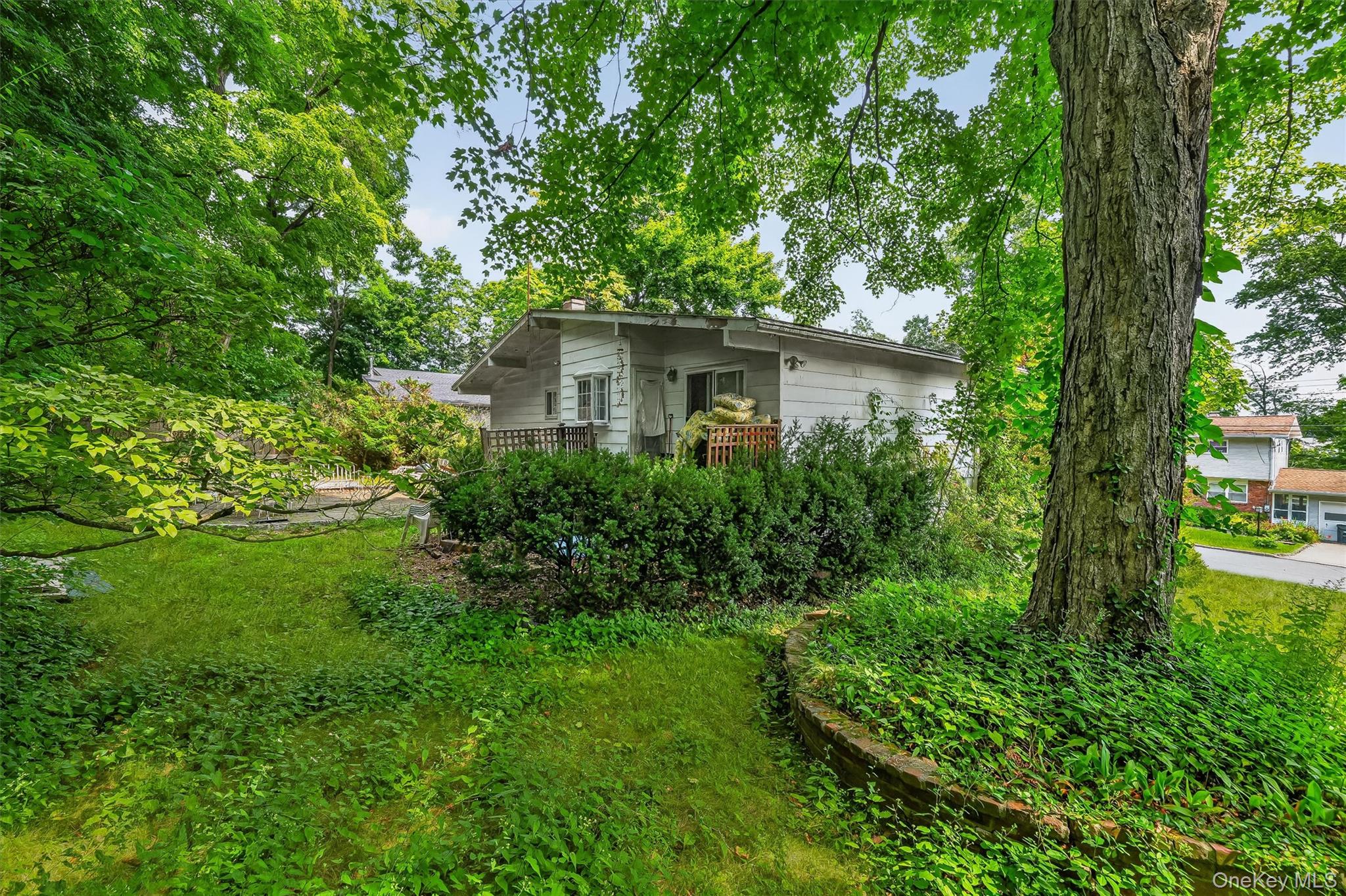 Photo 44 of this property