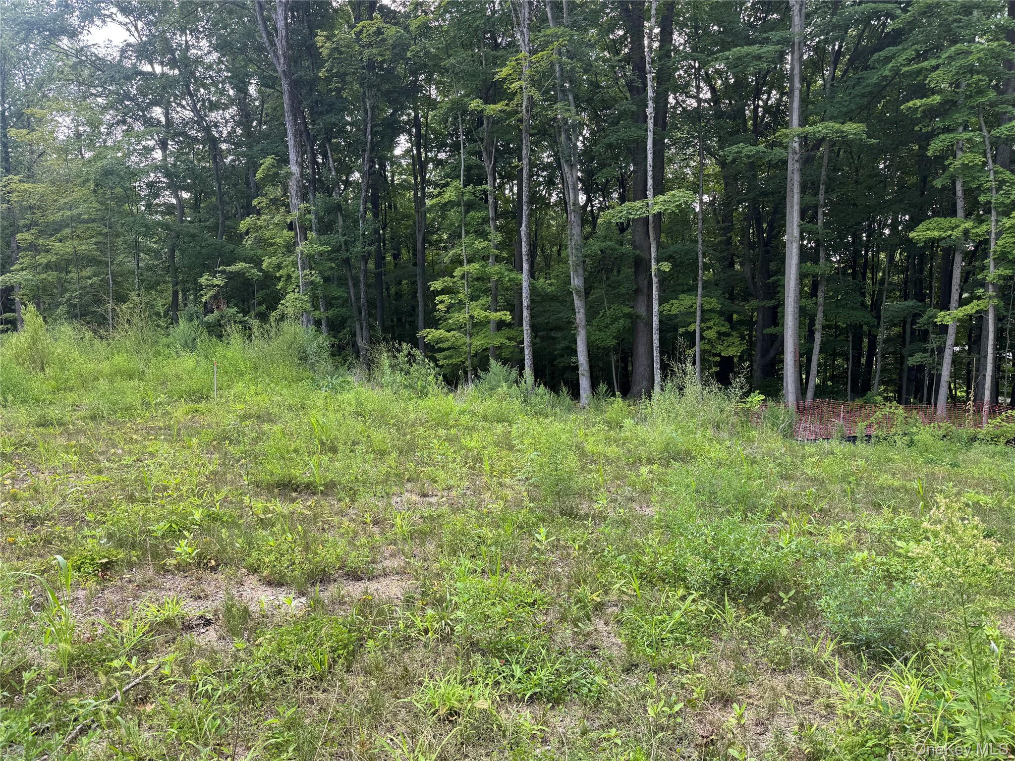 Photo 4 of this property