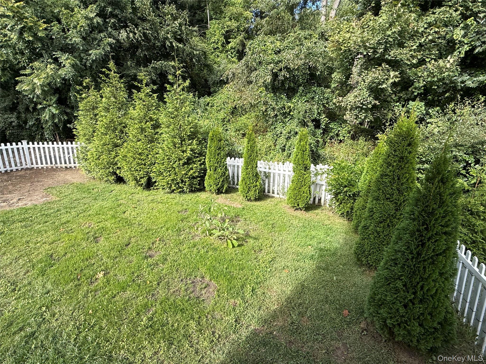 Photo 36 of this property