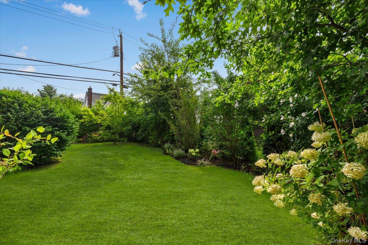 Photo 36 of this property