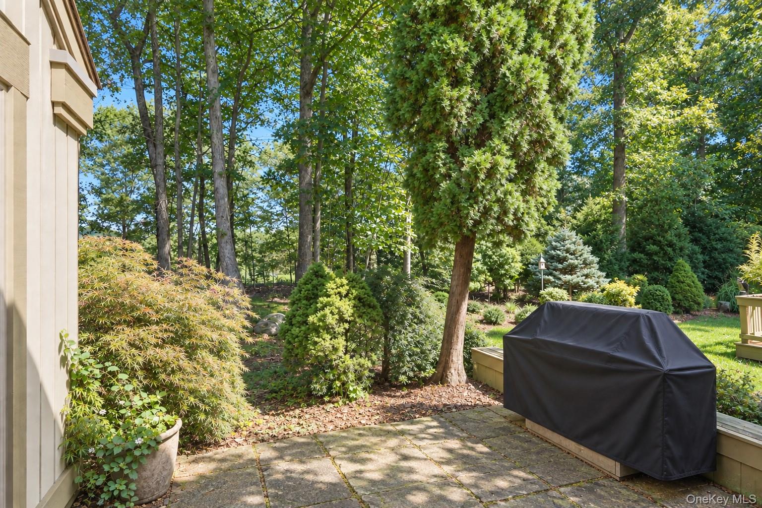 Photo 18 of this property