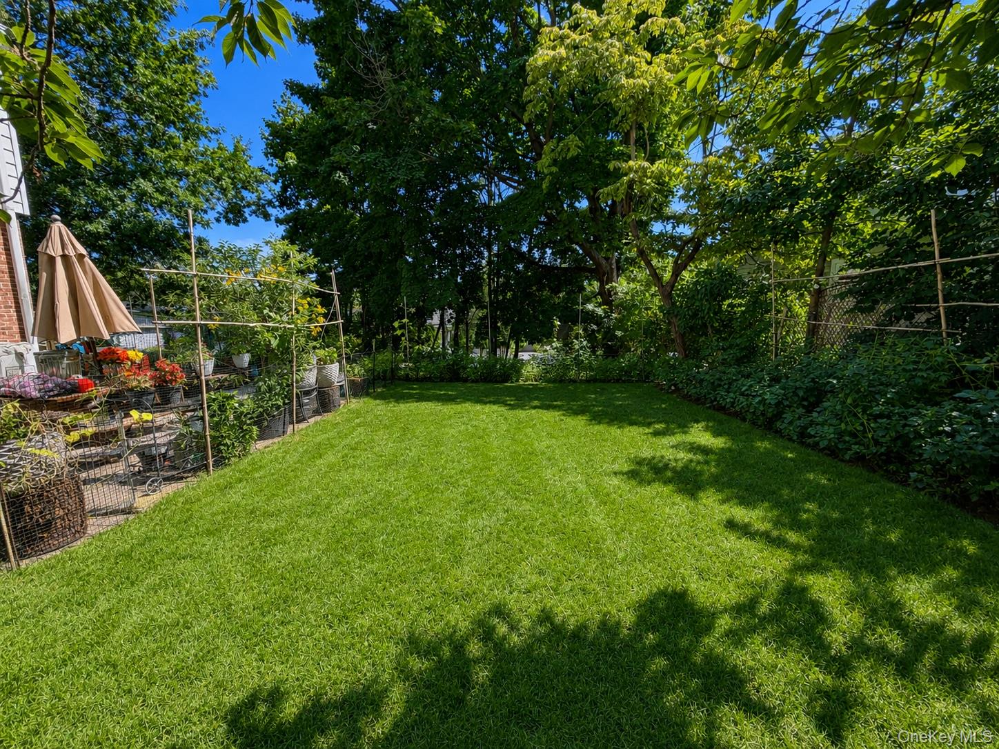 Photo 18 of this property