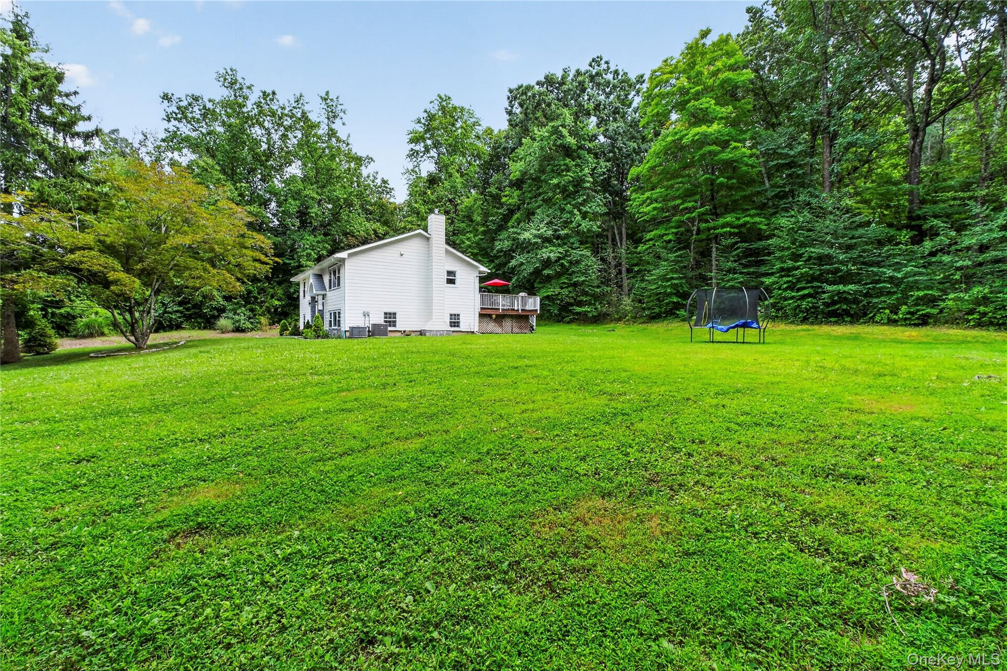 Photo 36 of this property