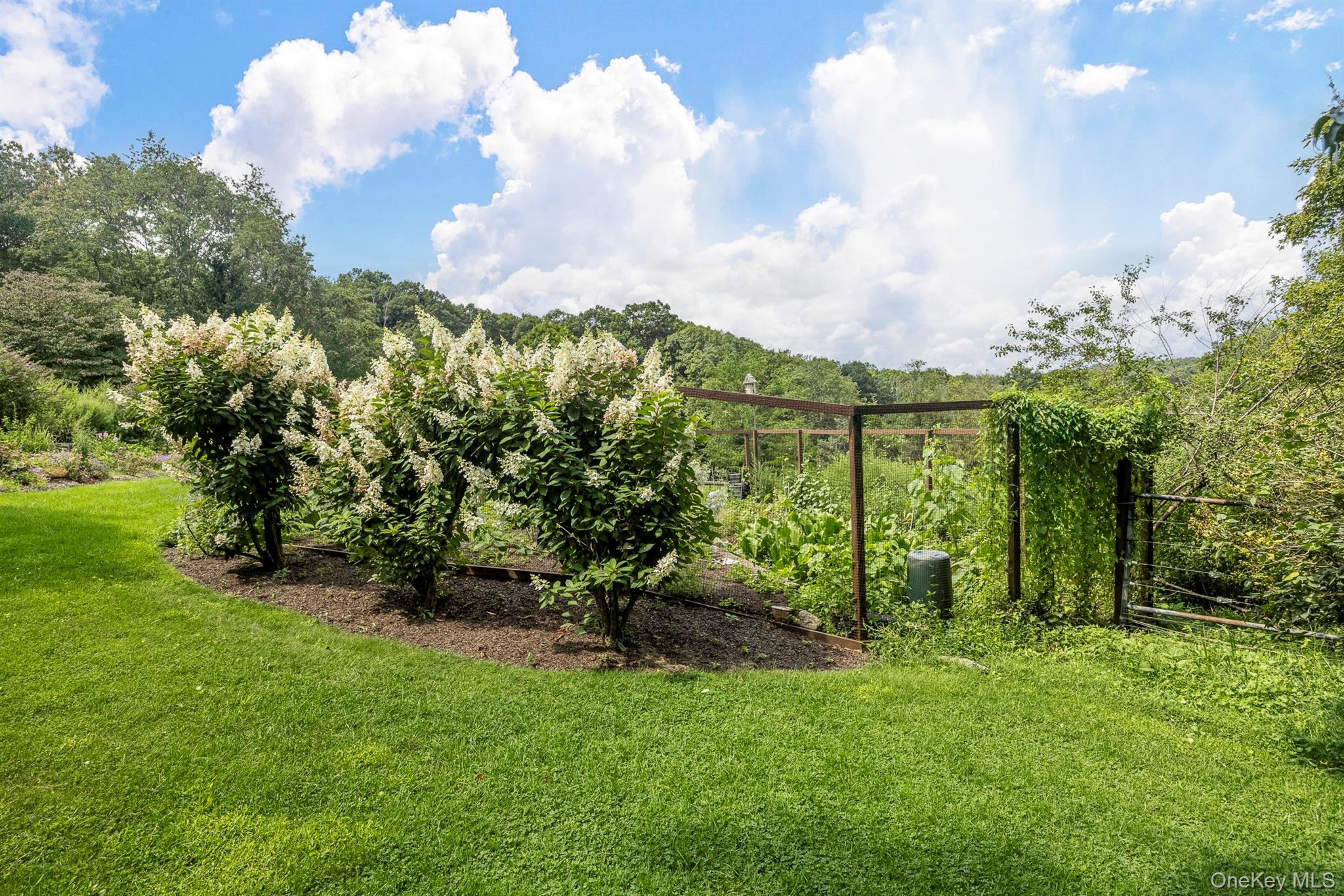 Photo 47 of this property