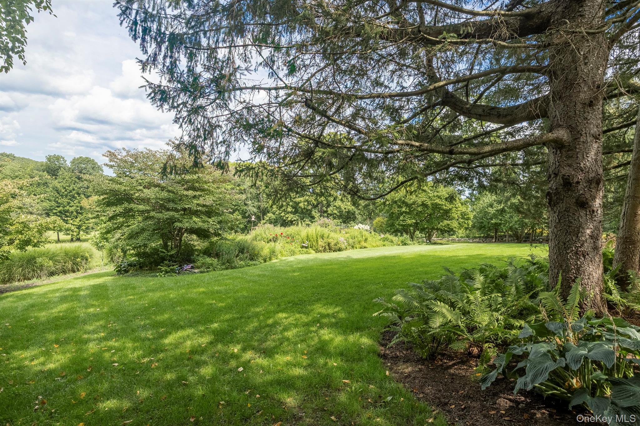 Photo 49 of this property