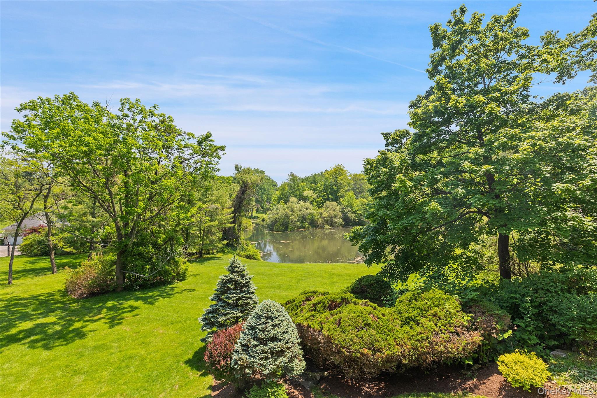 Photo 41 of this property