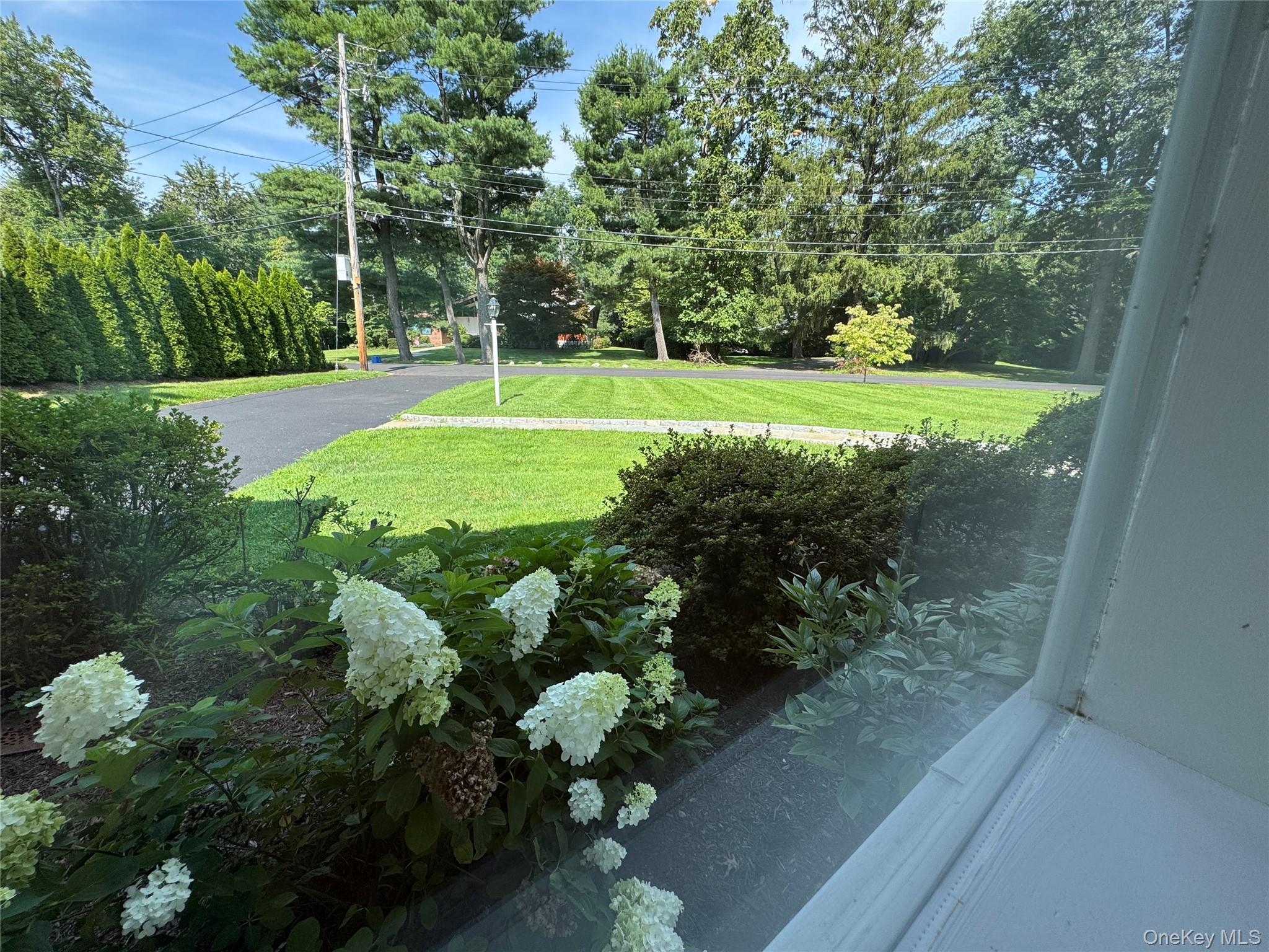 Photo 5 of this property