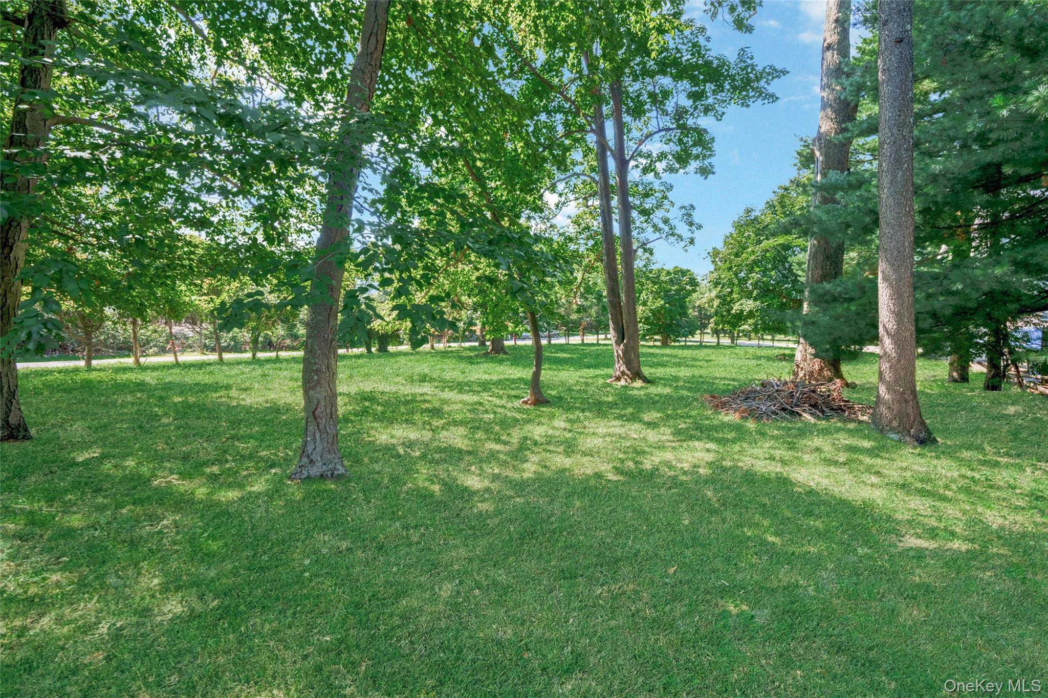 Photo 3 of this property