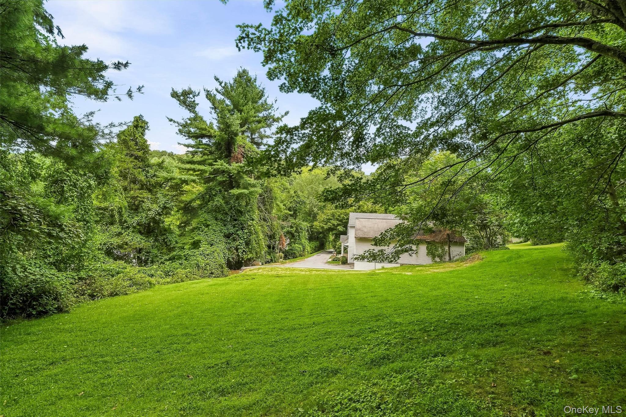 Photo 45 of this property