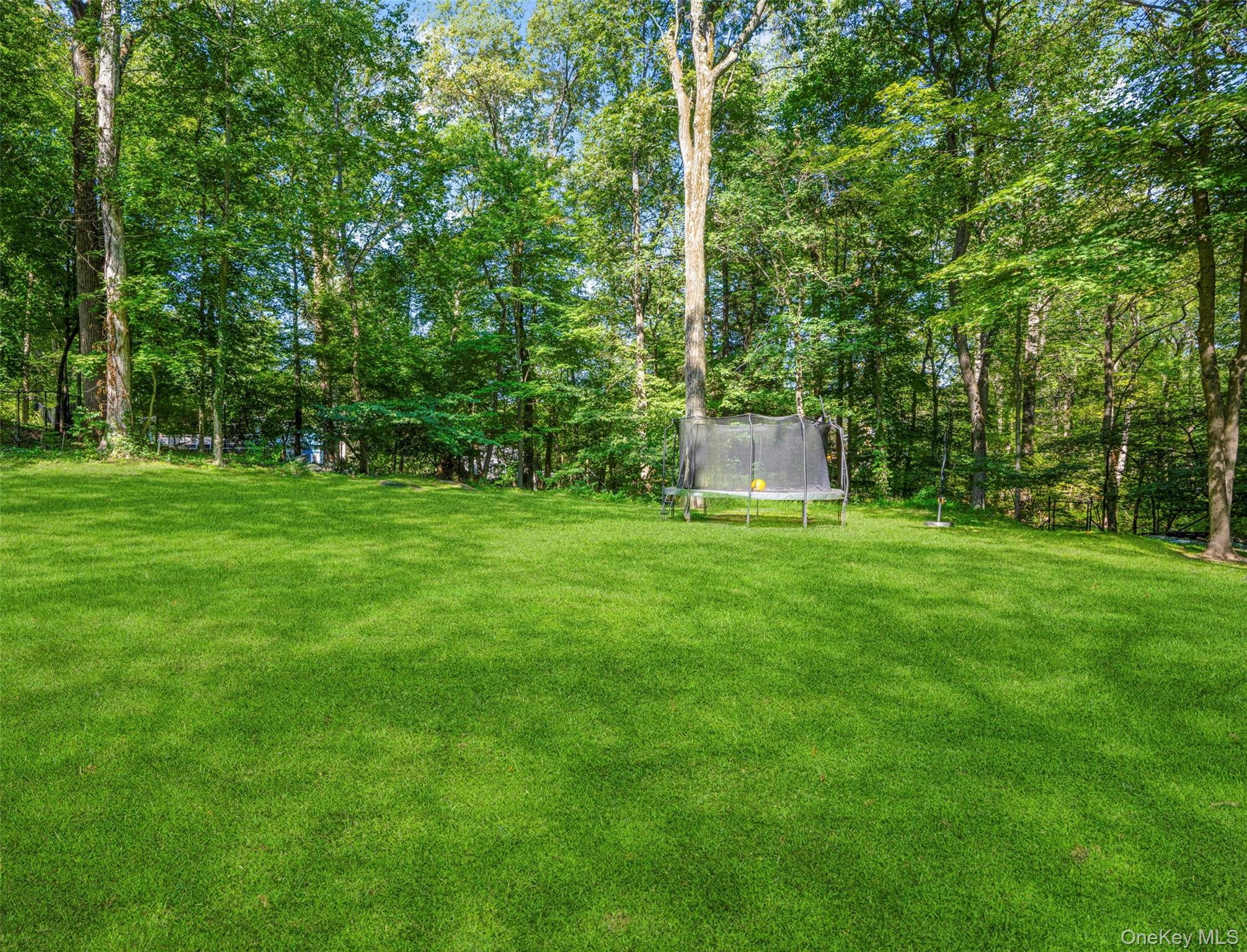 Photo 45 of this property