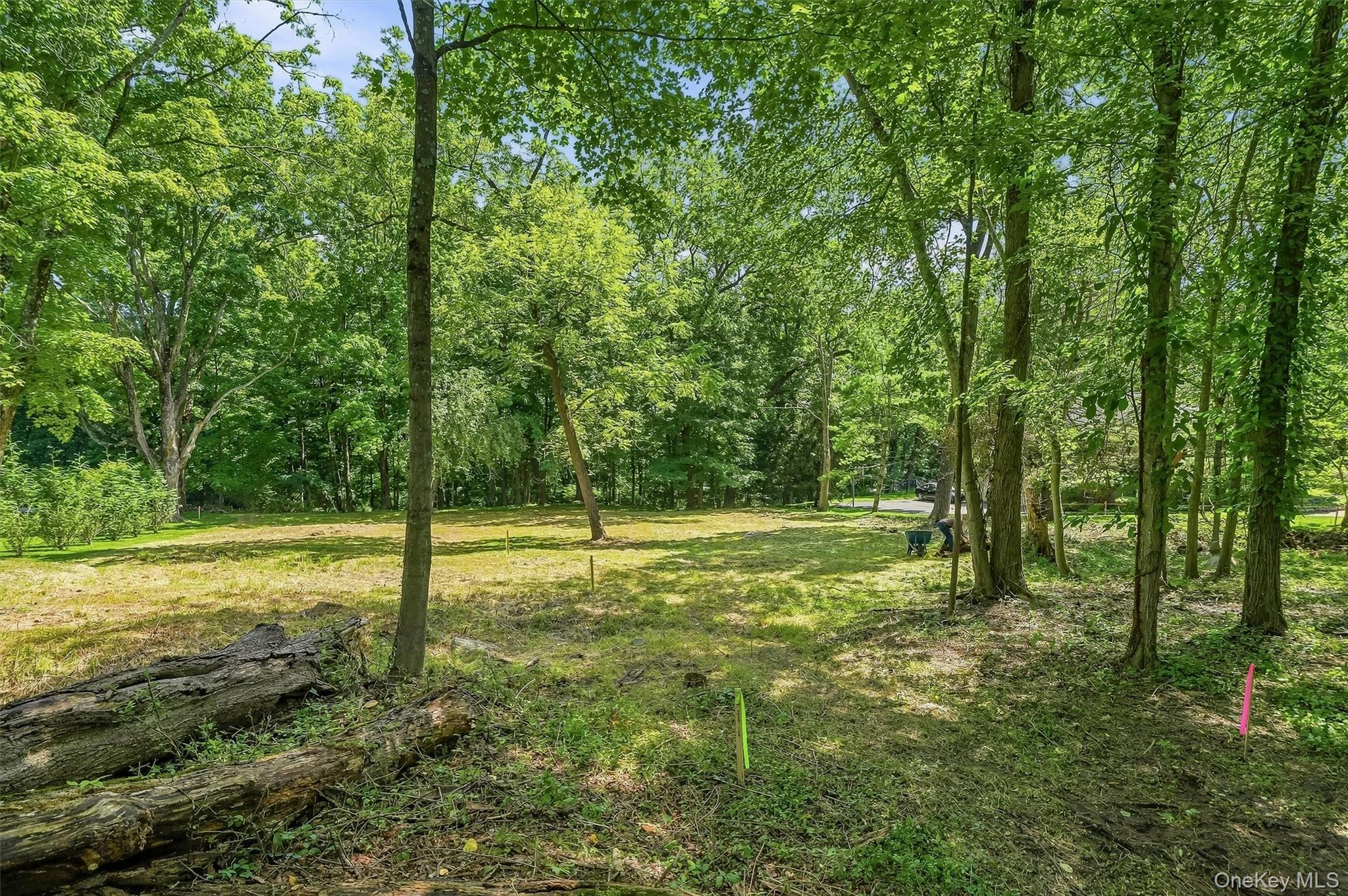 Photo 8 of this property