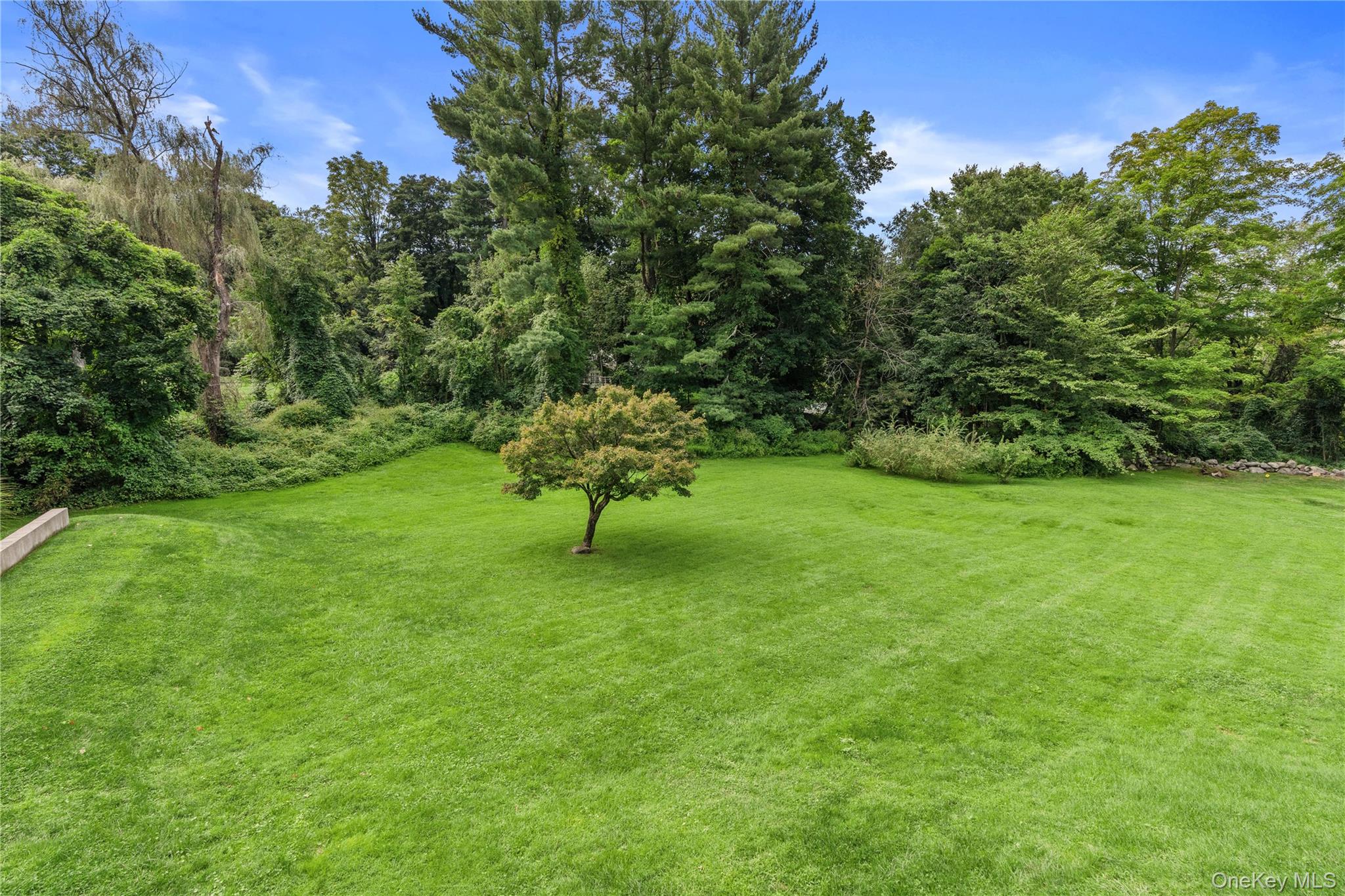 Photo 44 of this property