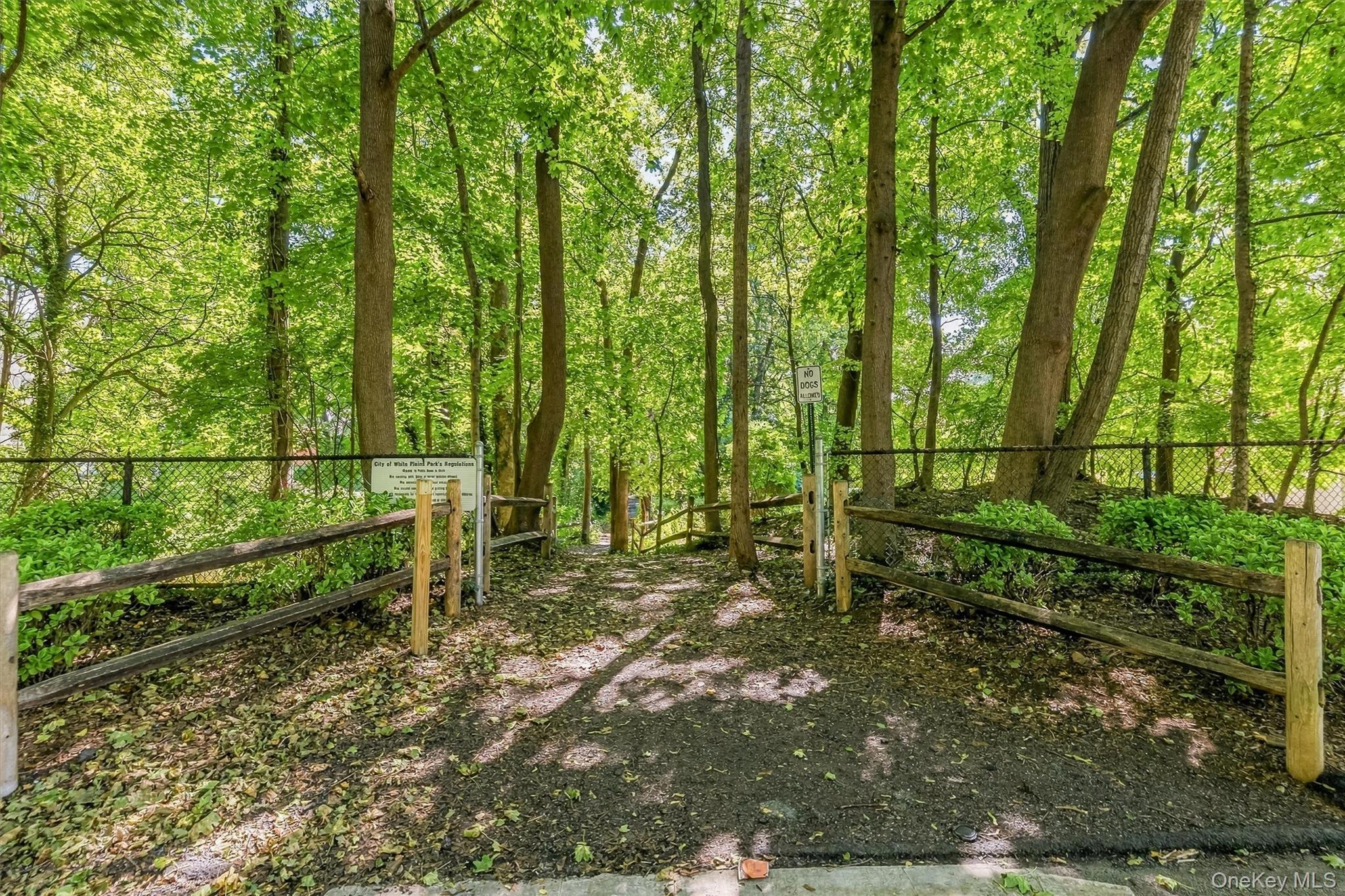 Photo 37 of this property