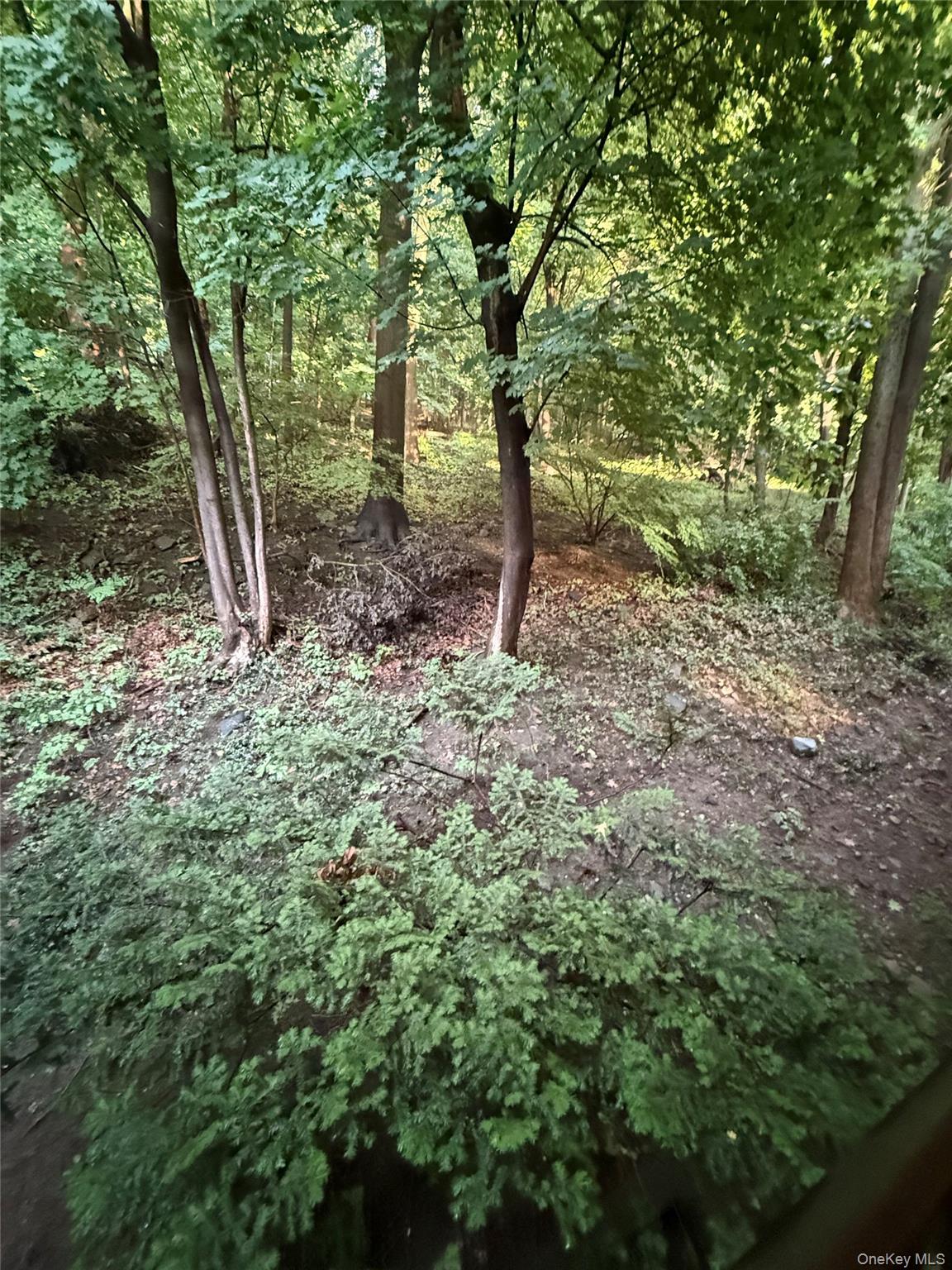 Photo 30 of this property