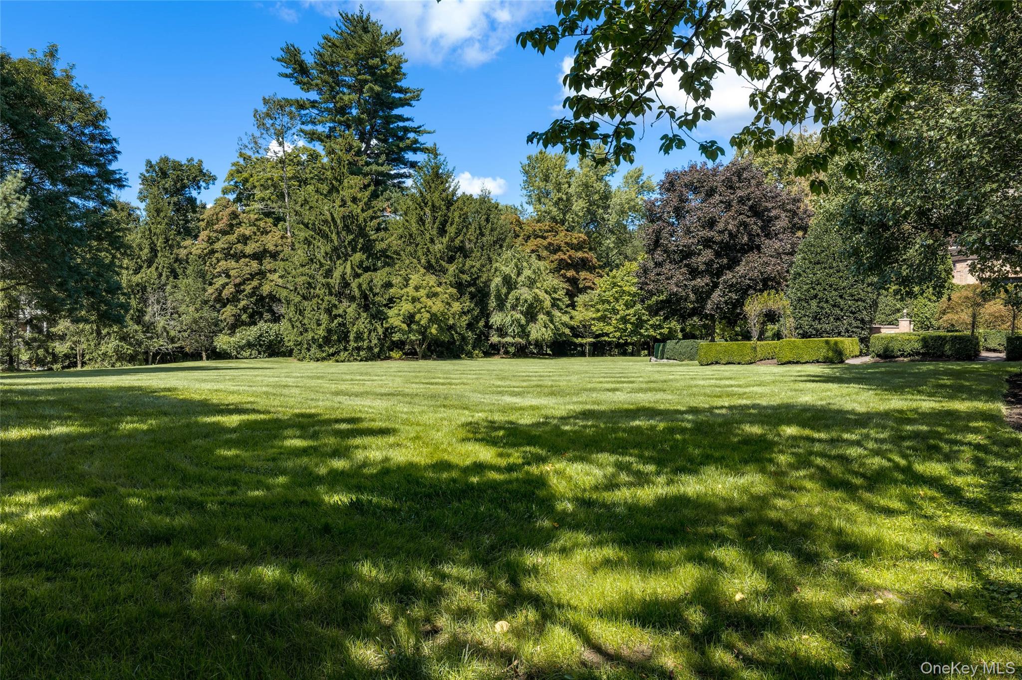 Photo 47 of this property