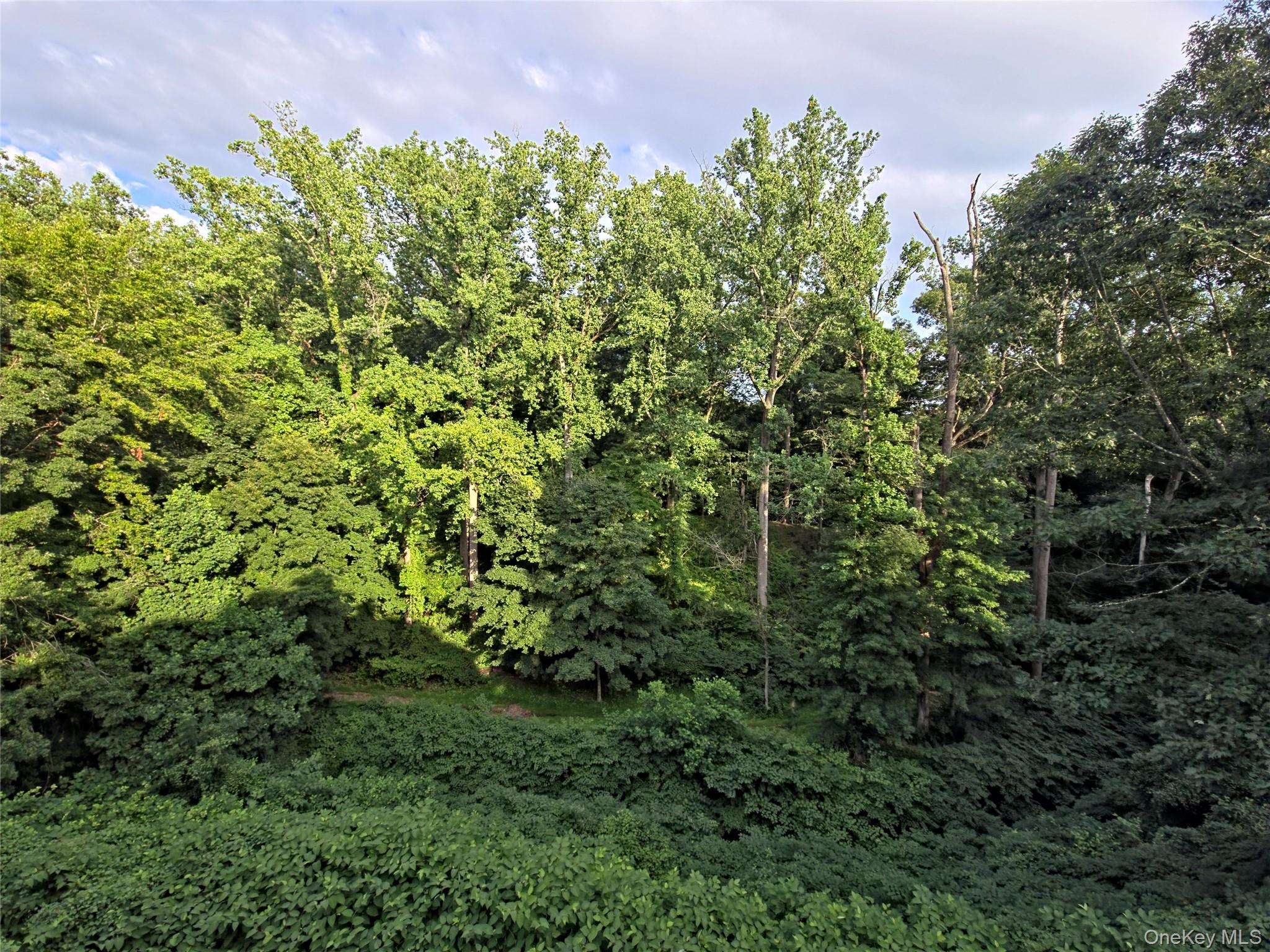 Photo 5 of this property