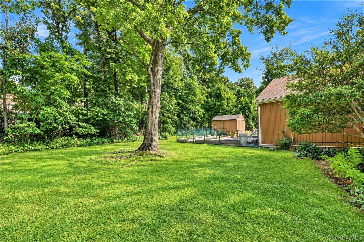 Photo 24 of this property